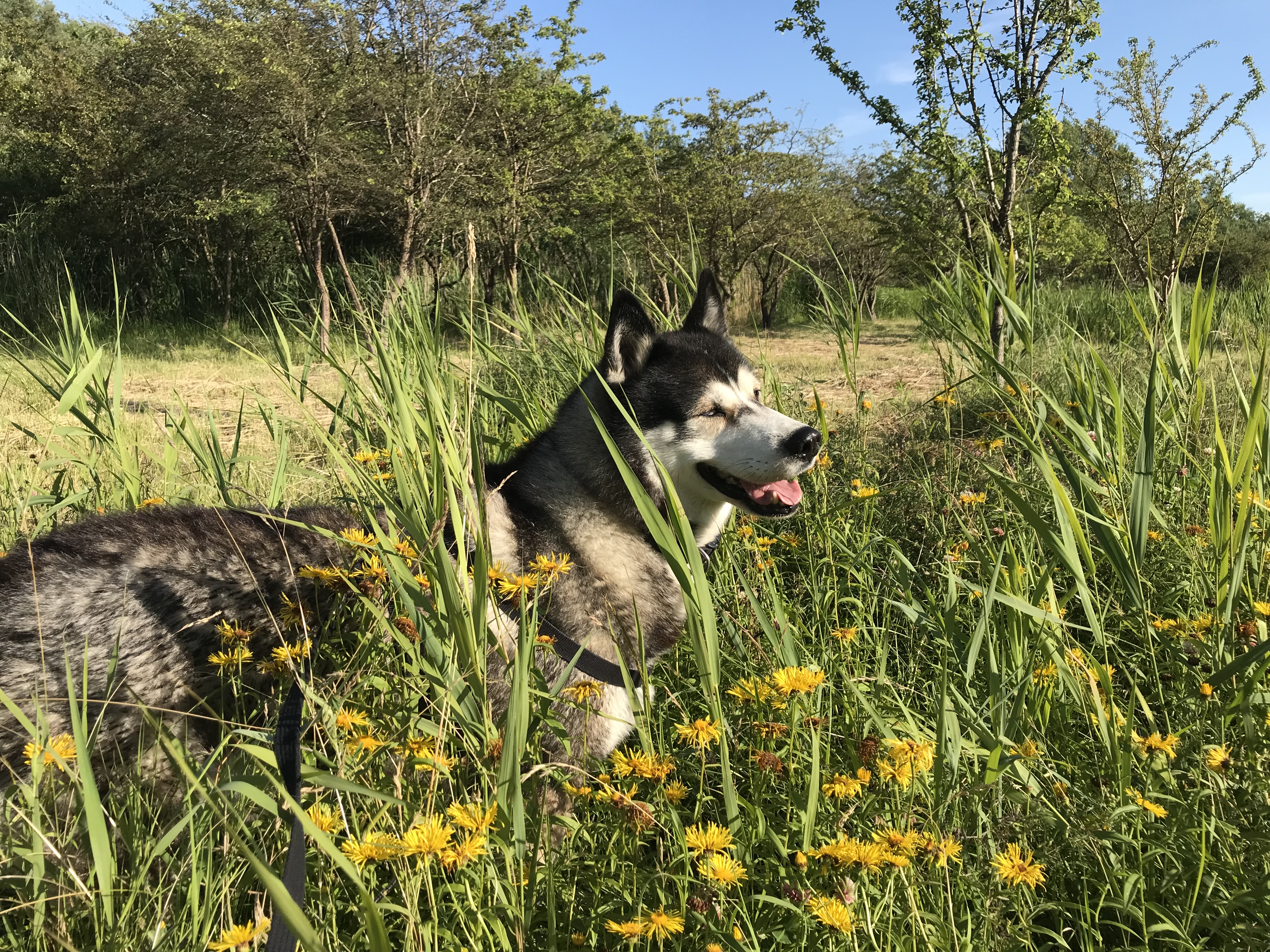 image-8