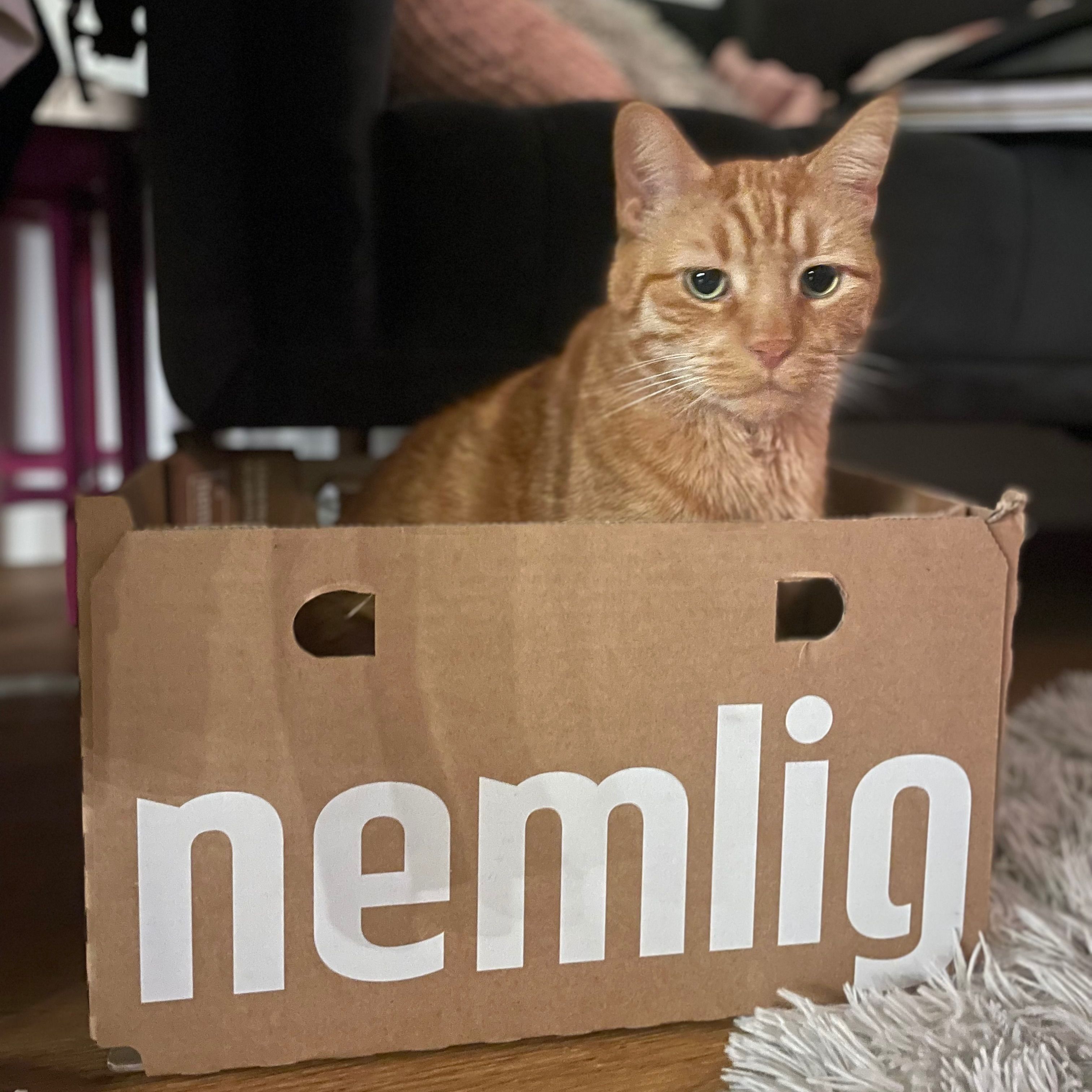 Simba