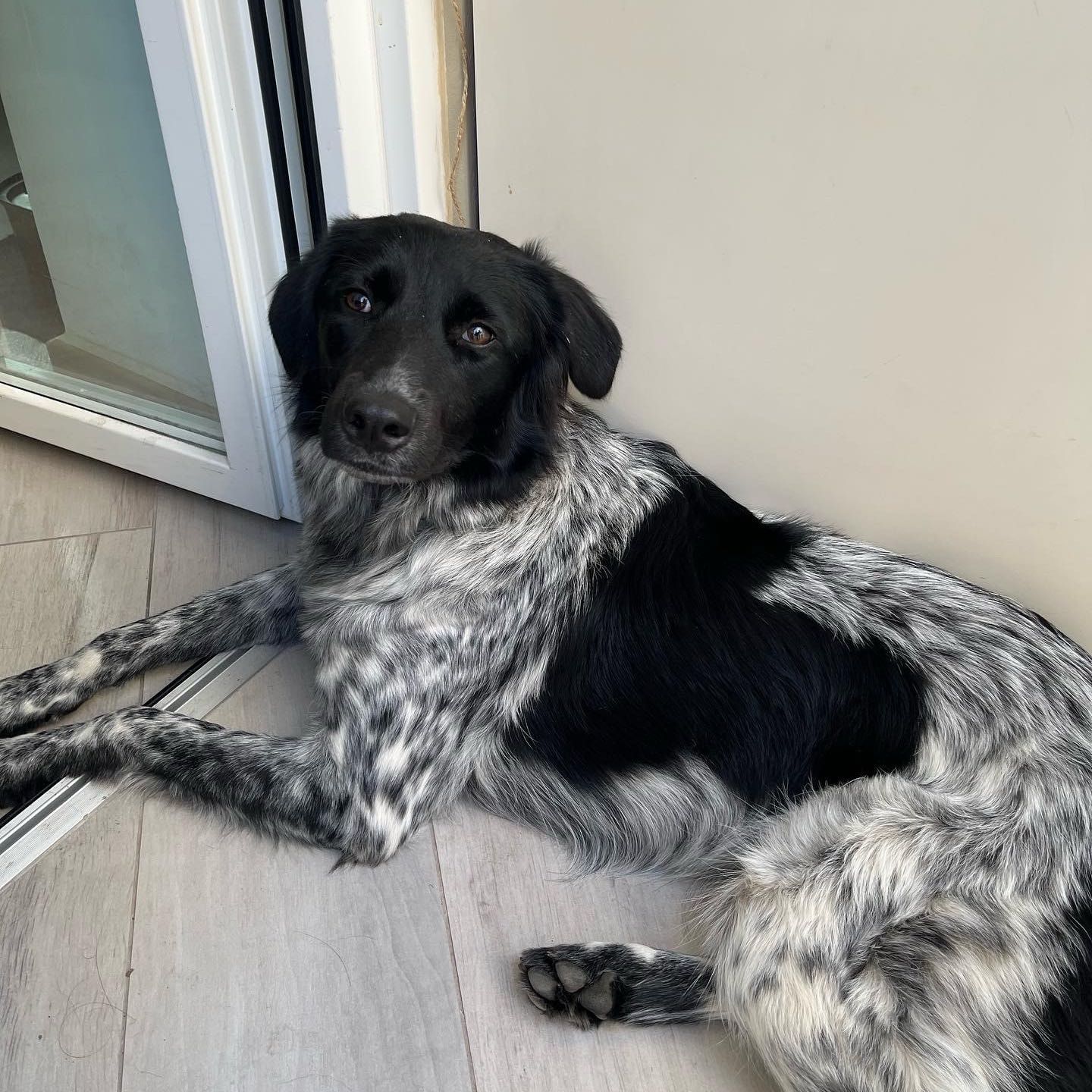 Bea