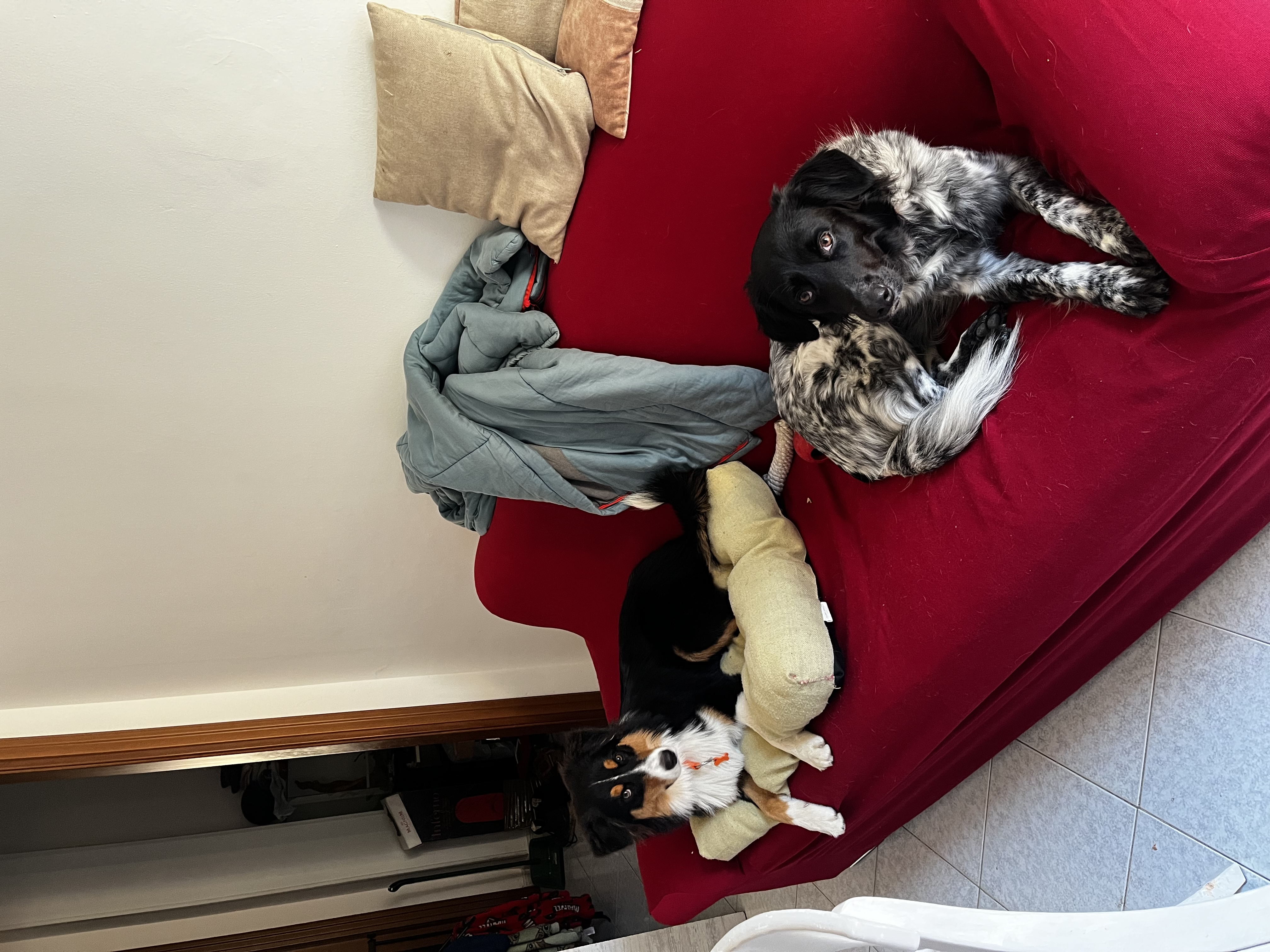 image-13