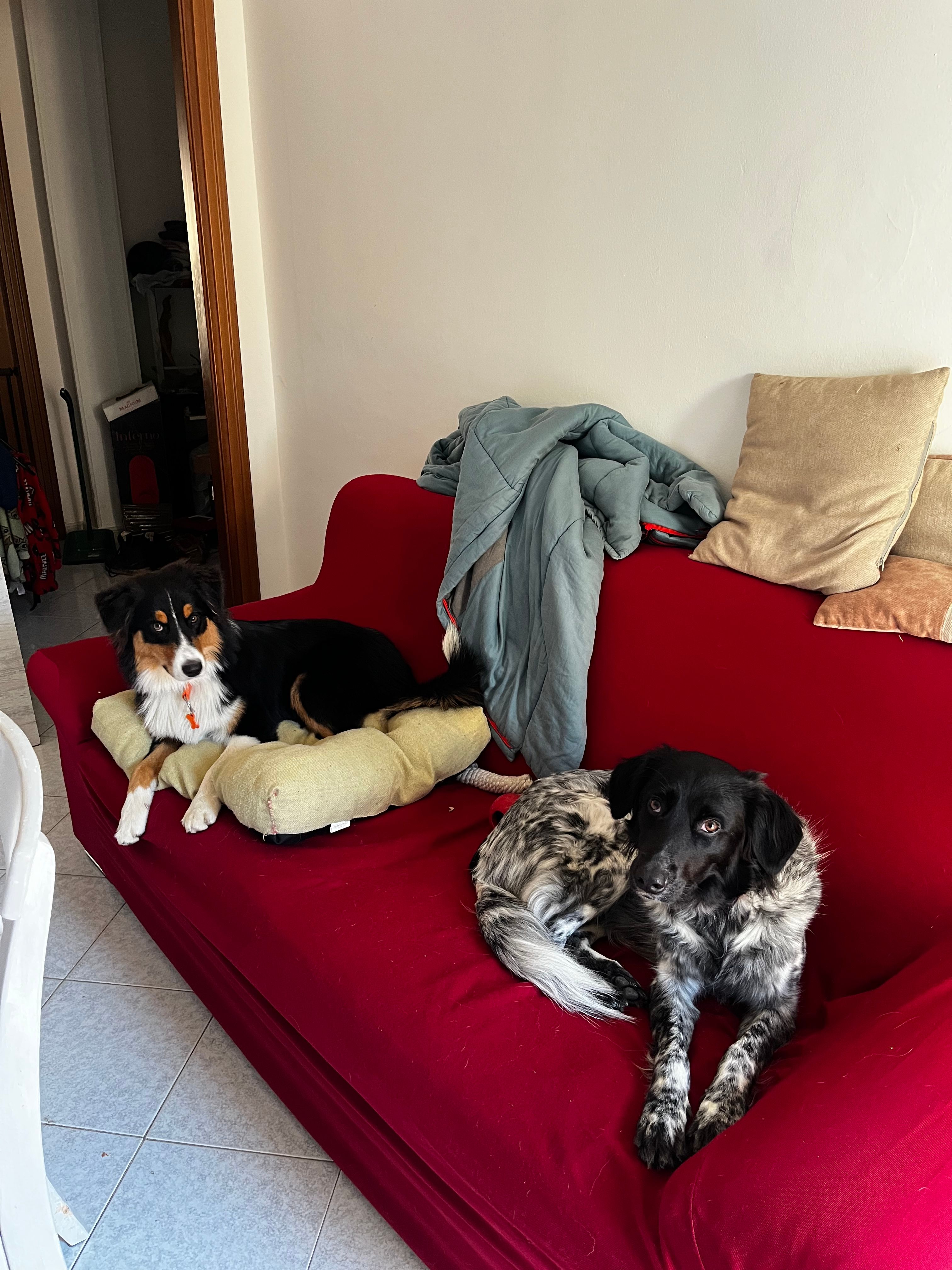 image-13