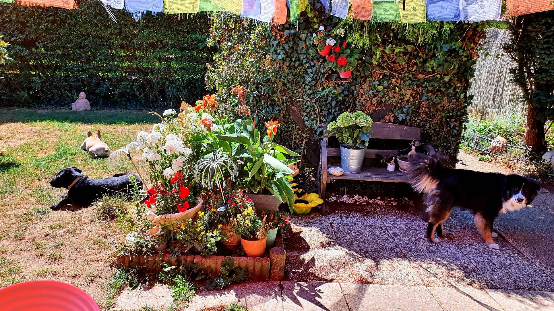 image-20