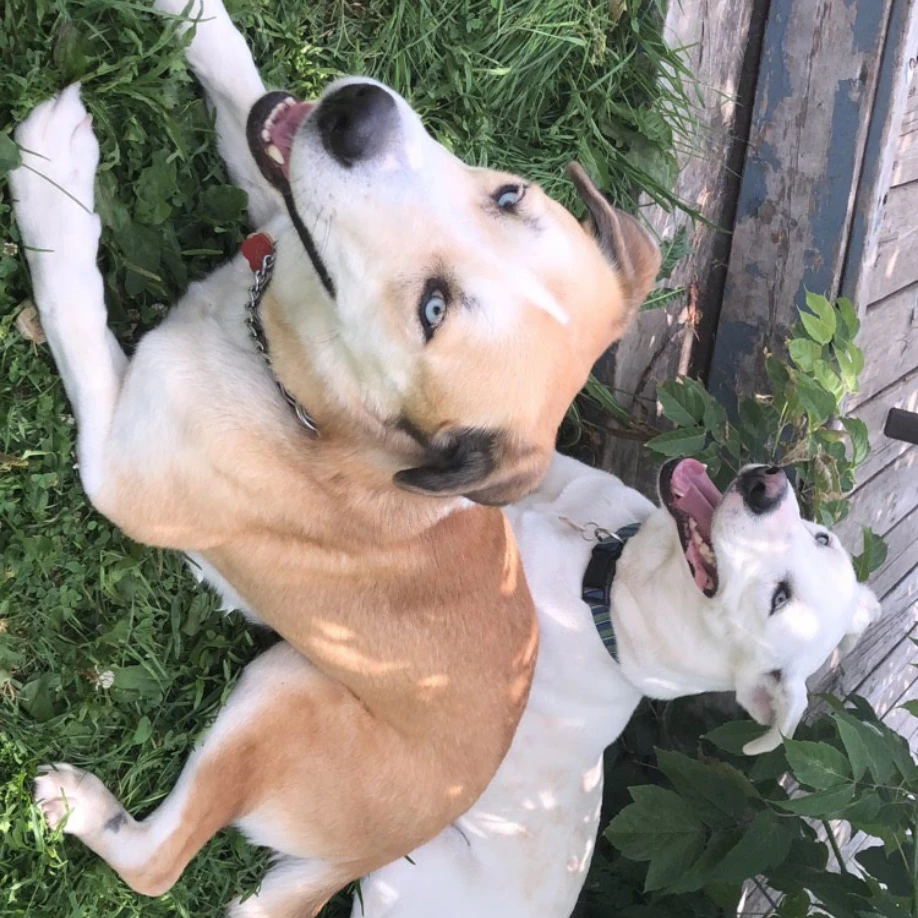 Tayler & Jake
