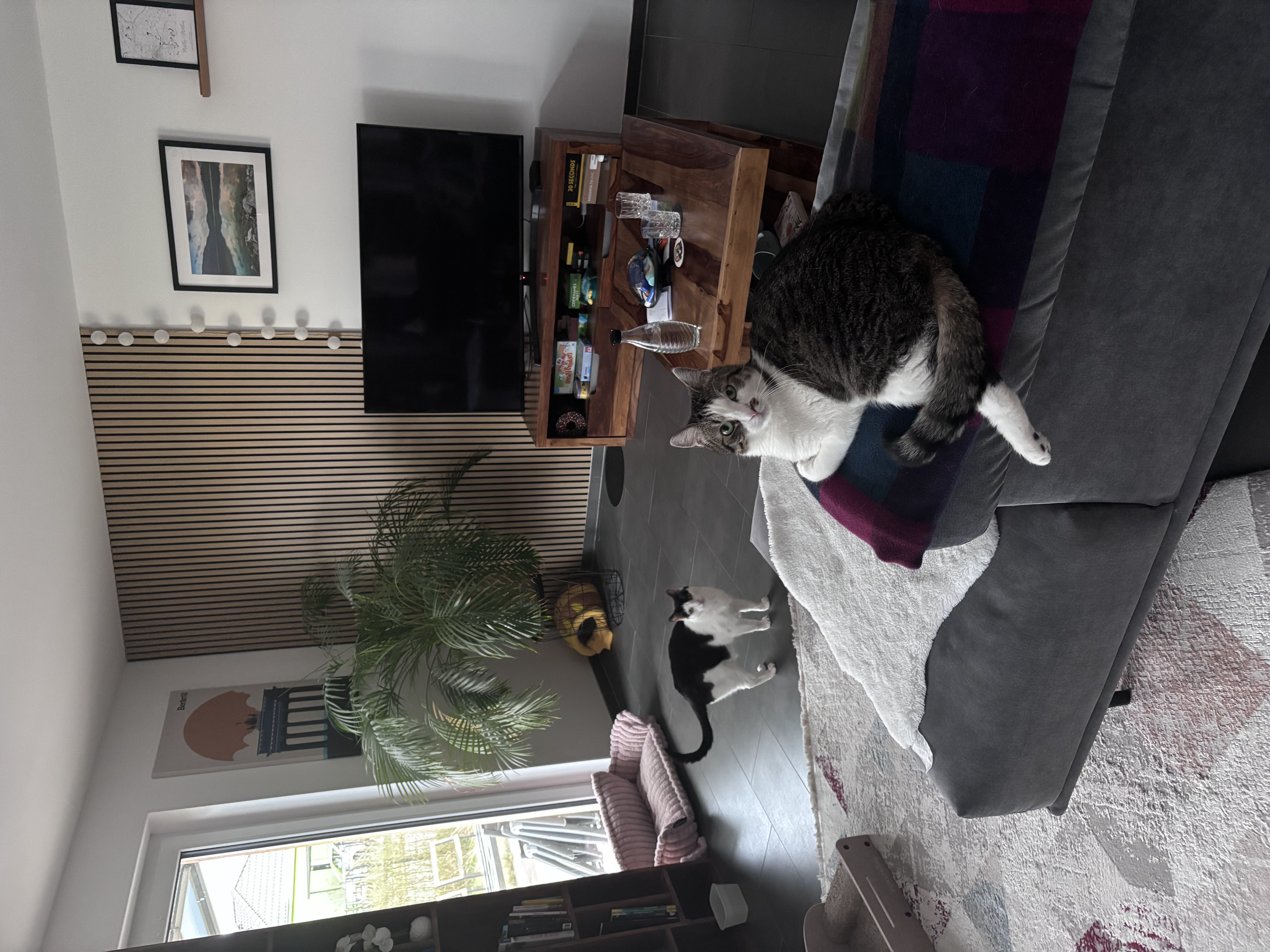 image-11