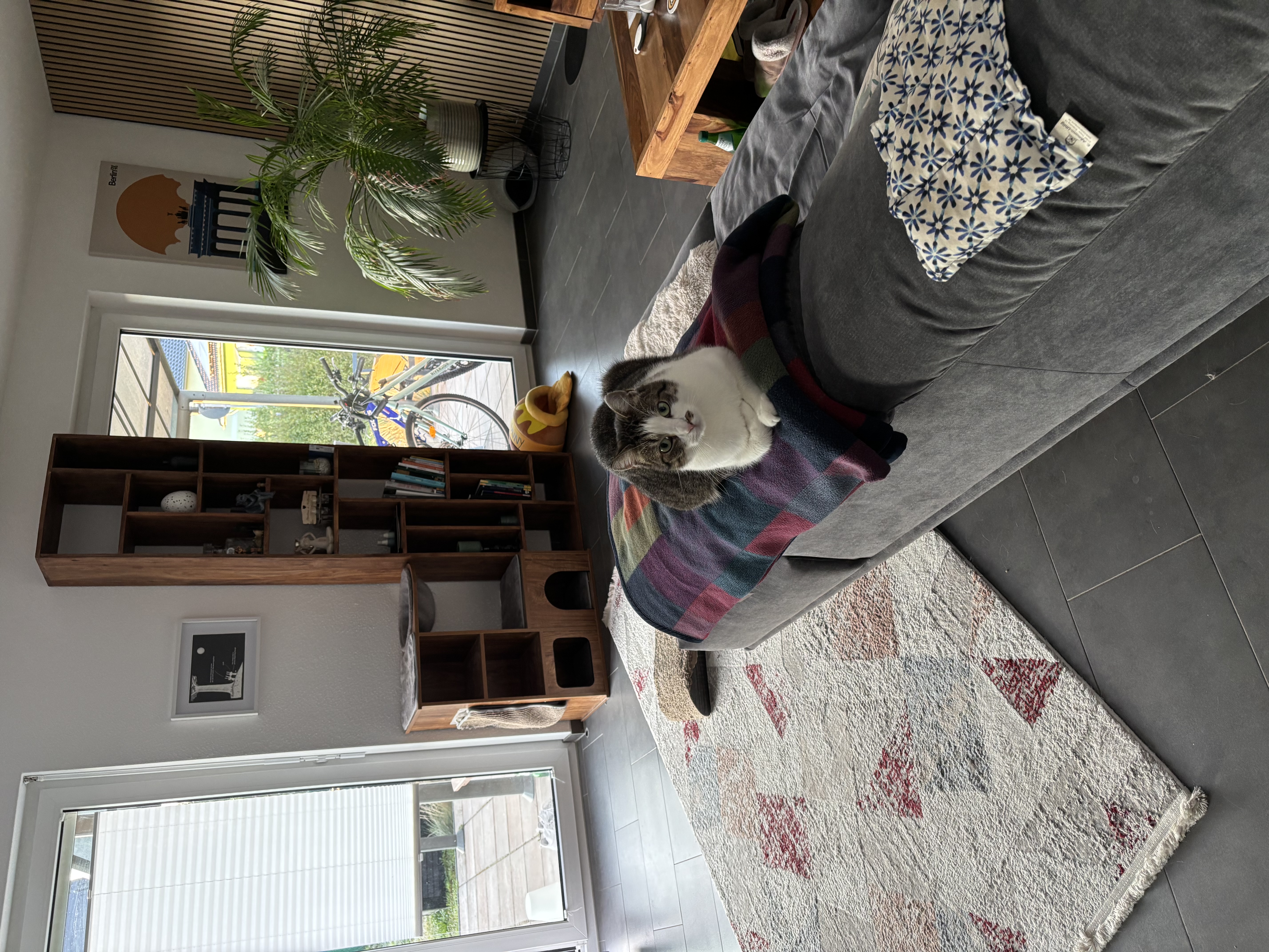 image-14
