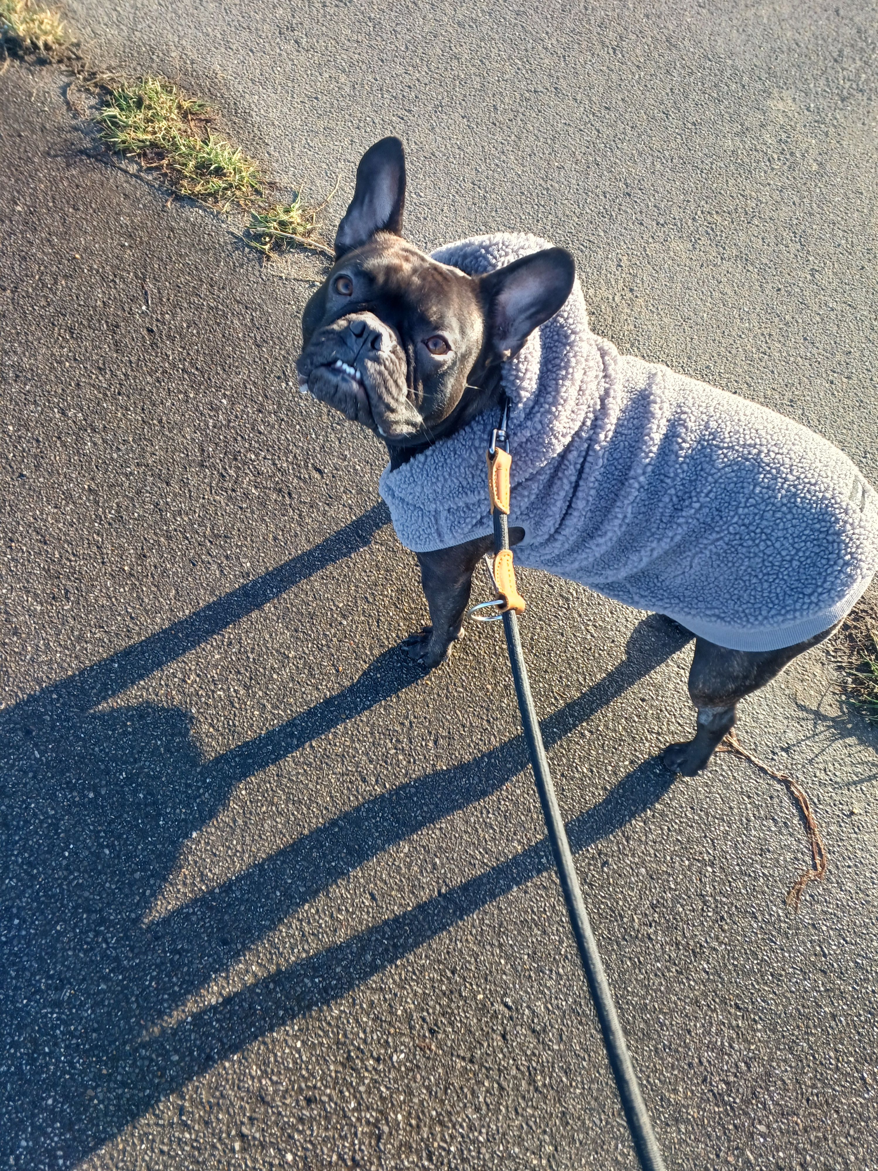 image-5