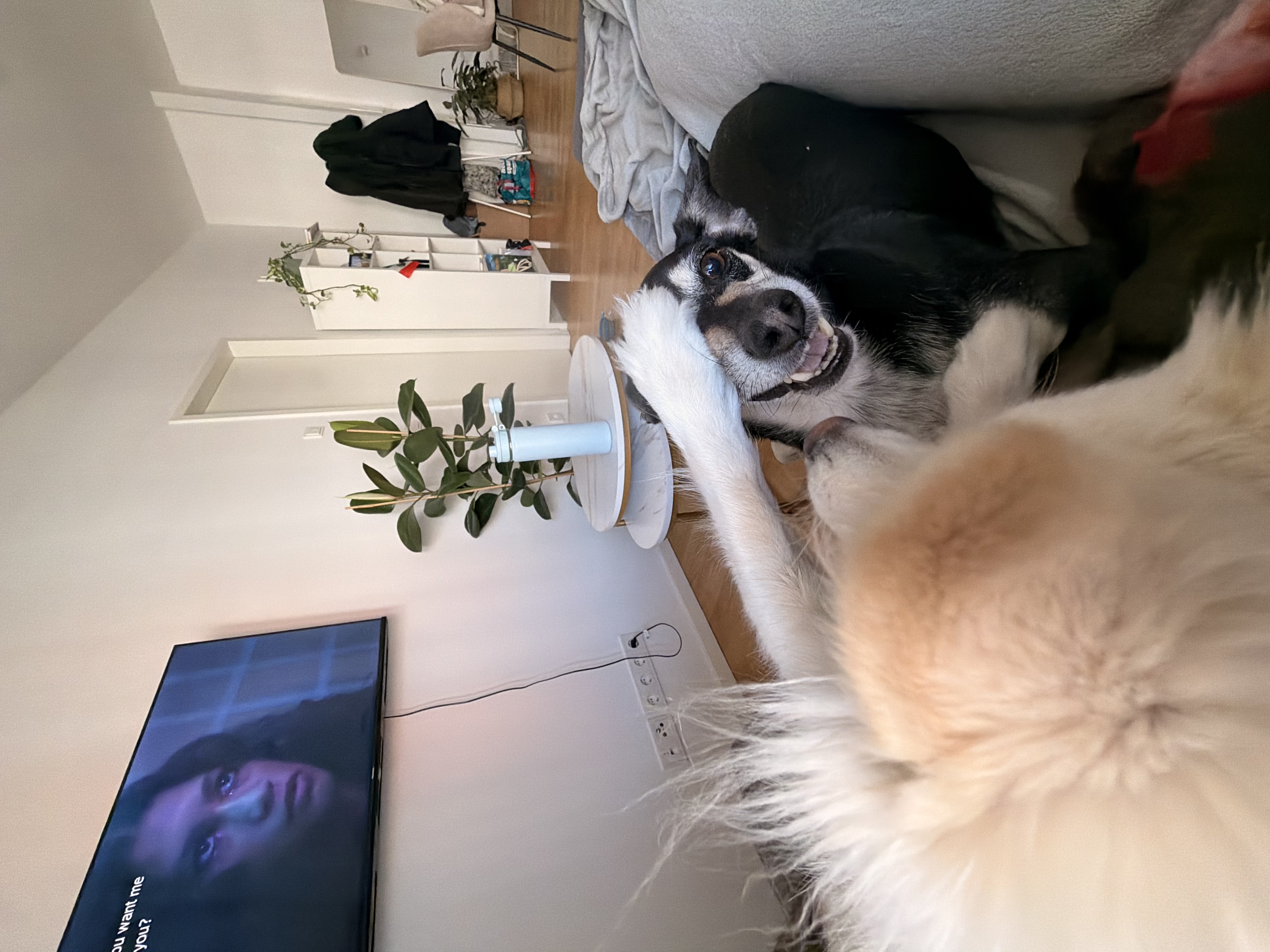 image-6