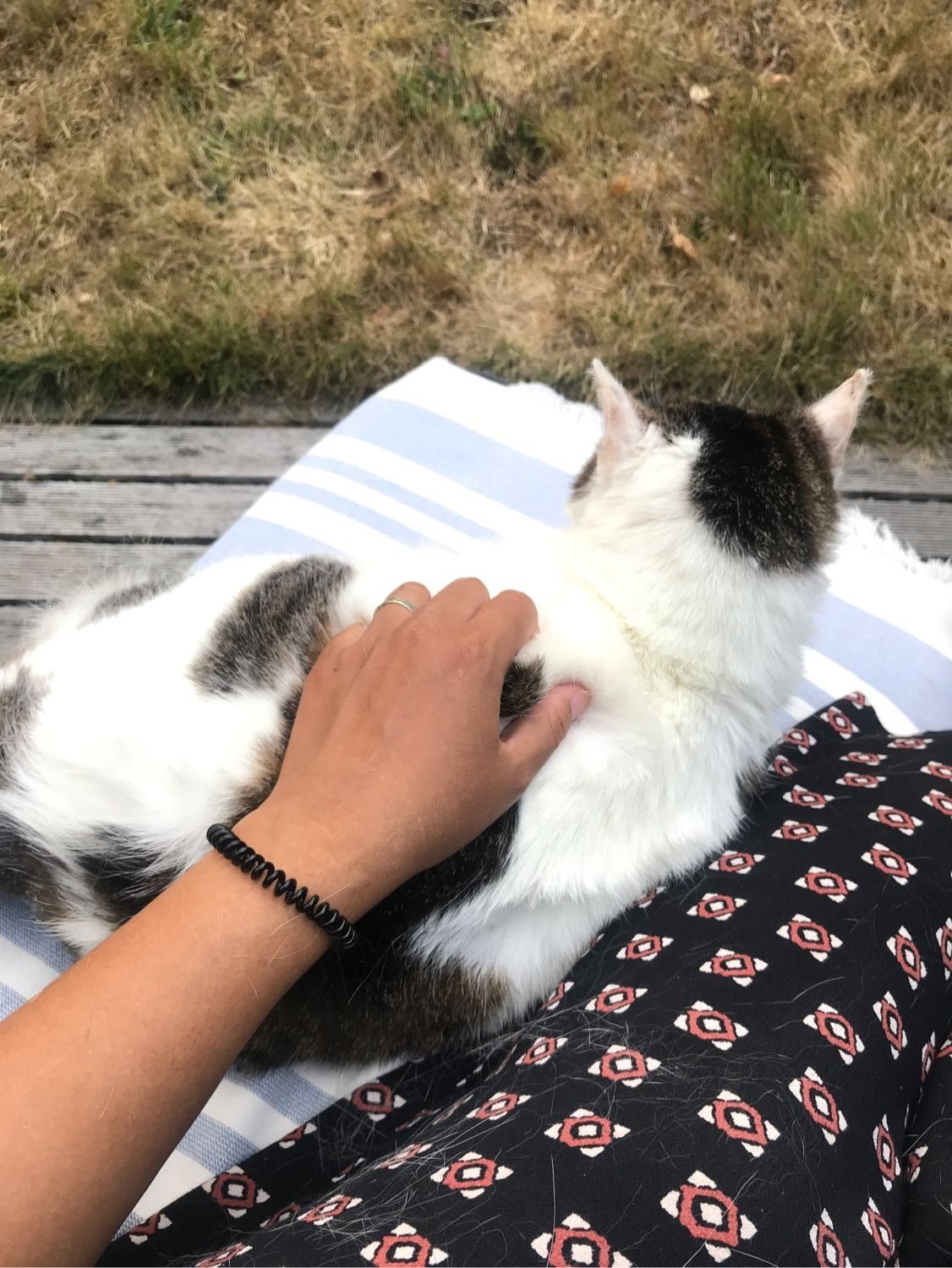 image-32