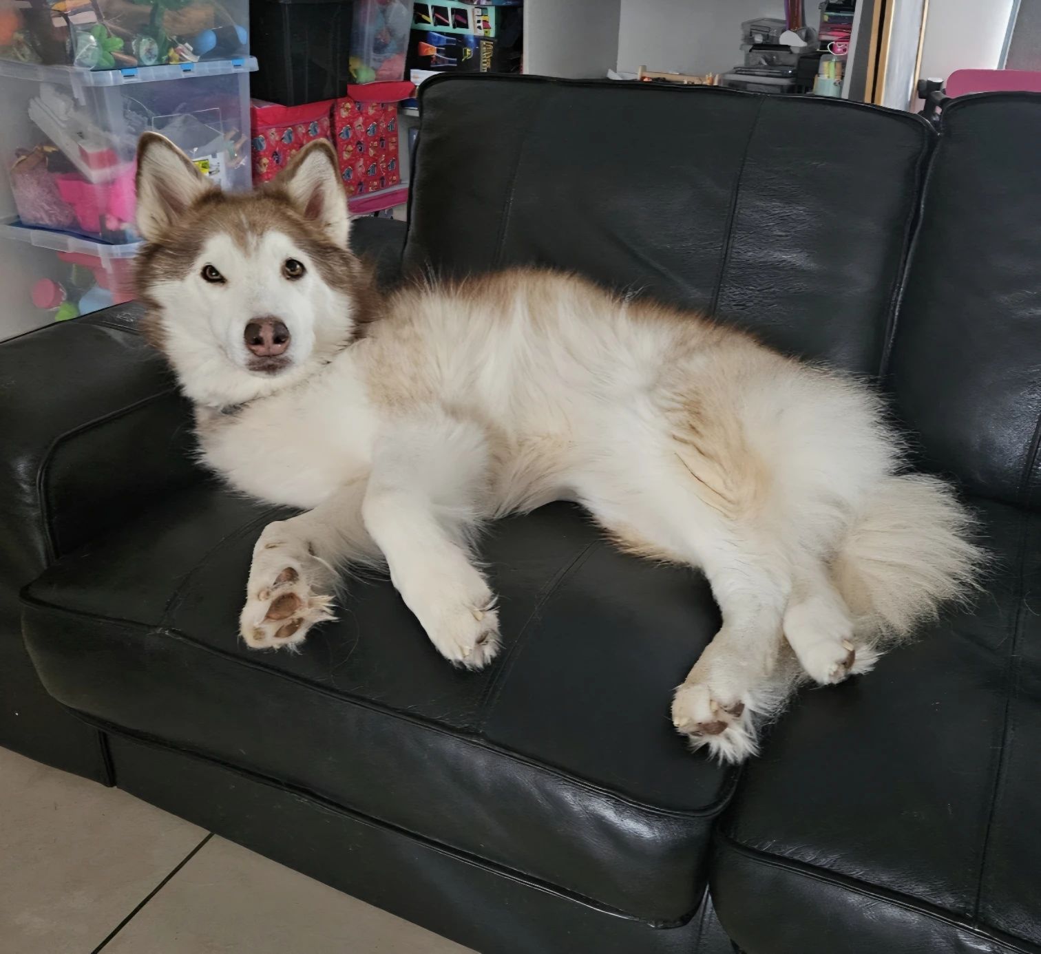 image-26