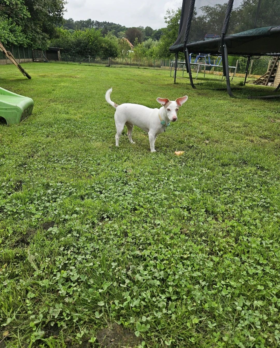 image-18
