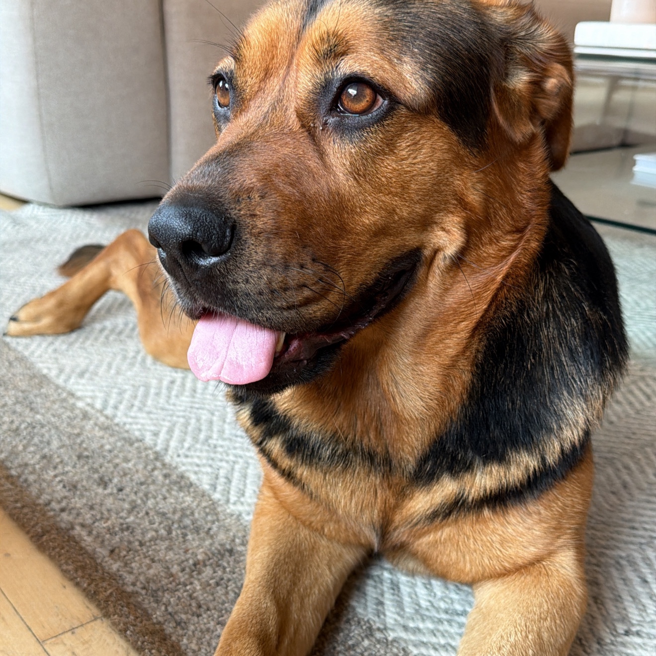Kora