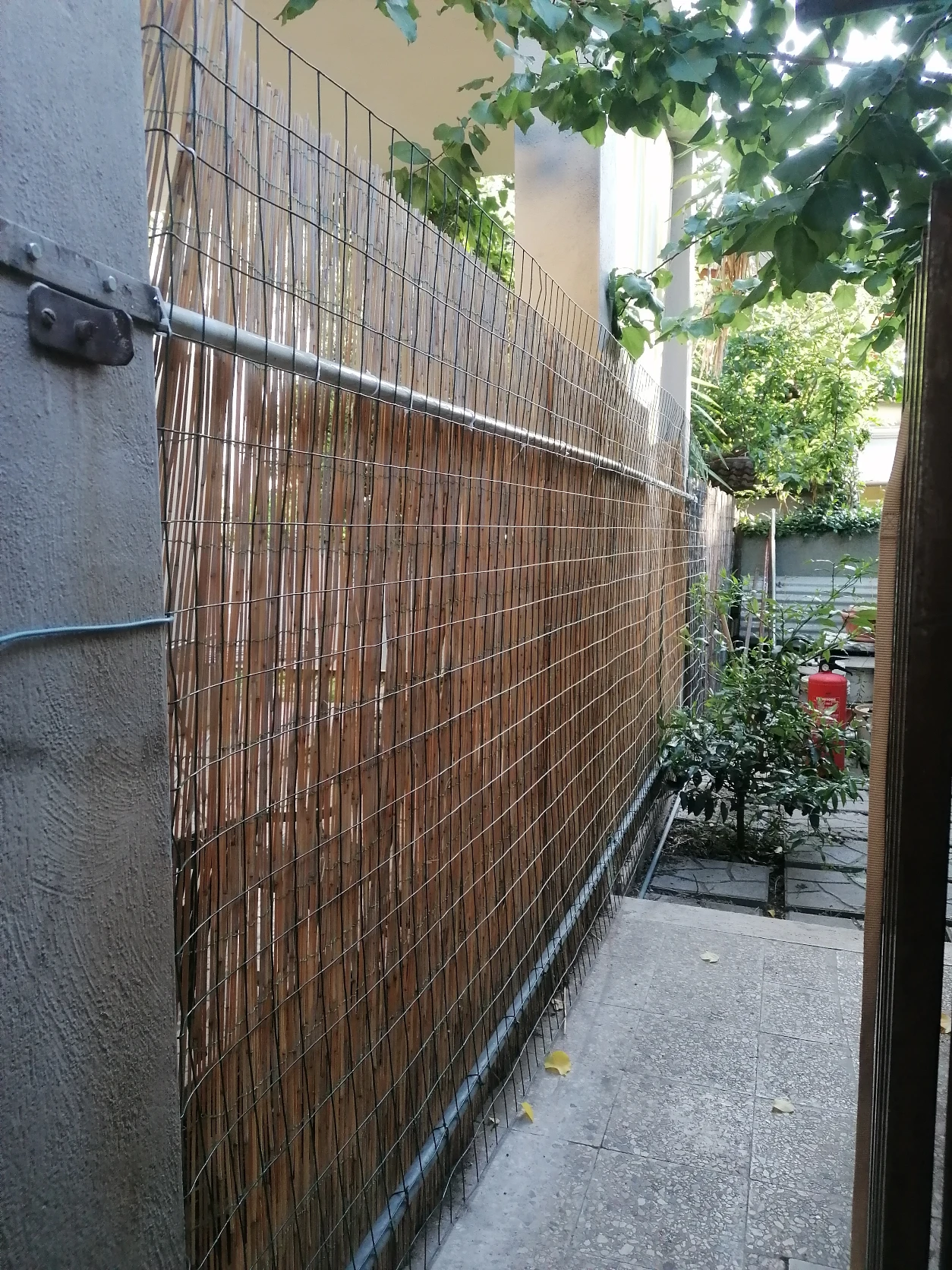 image-29