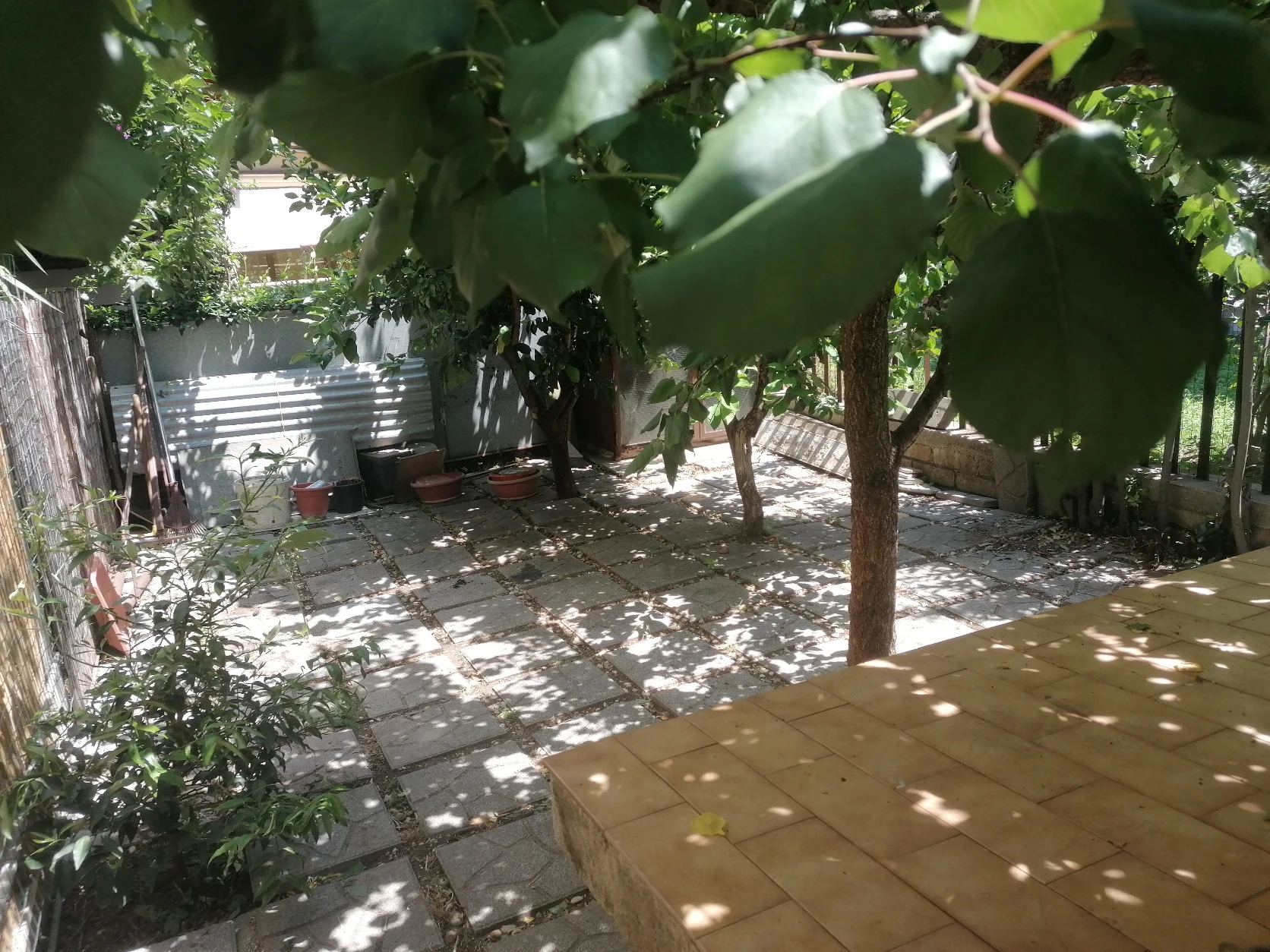 image-30