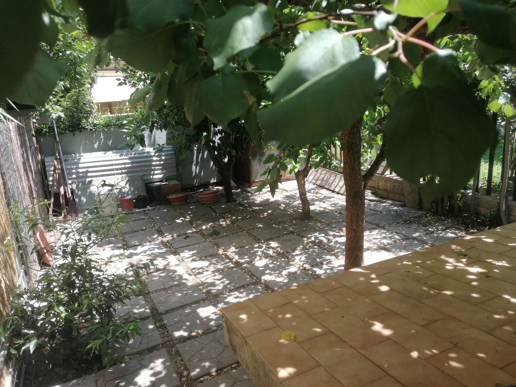 image-30