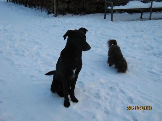 image-6