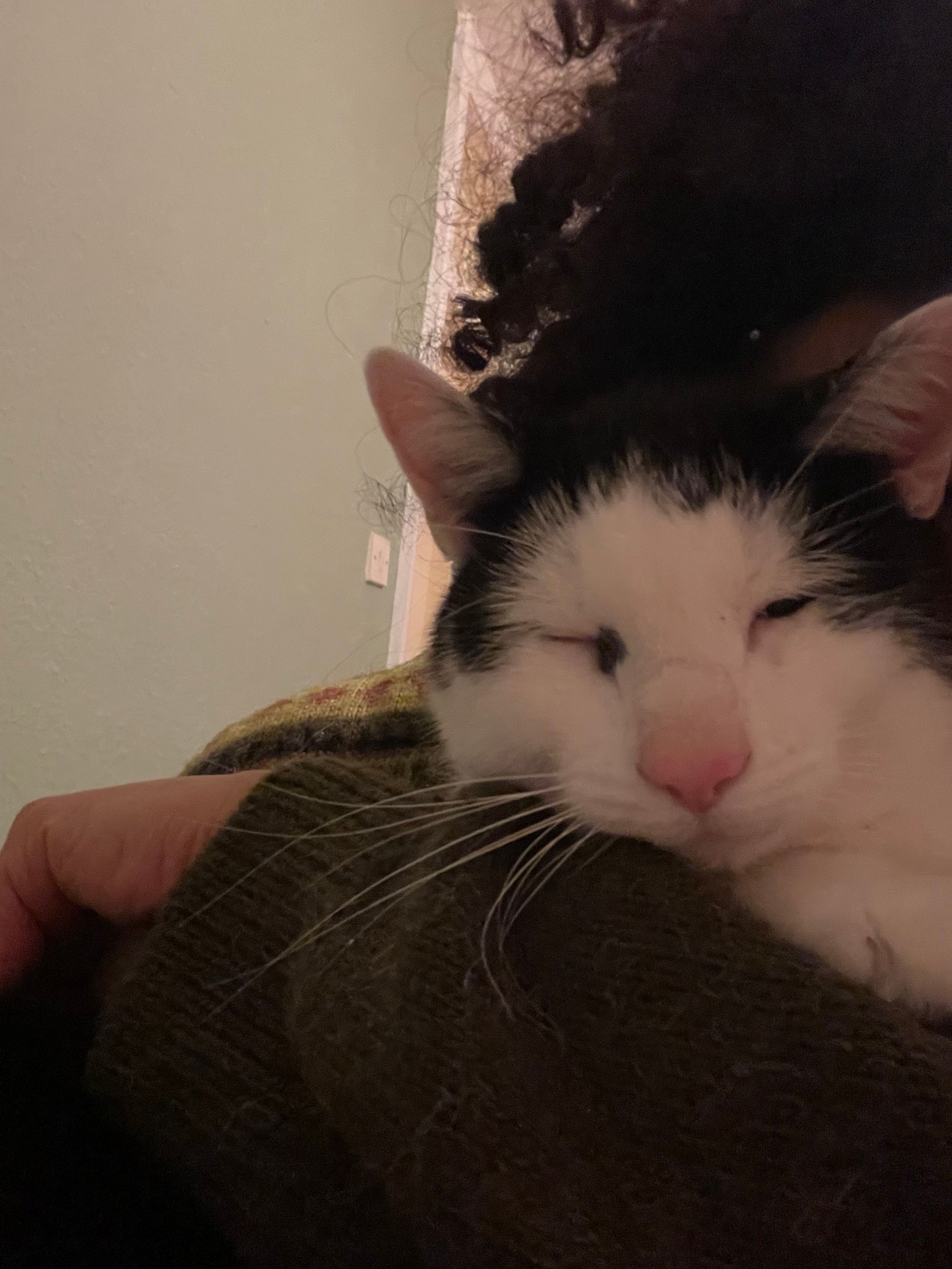 image-7