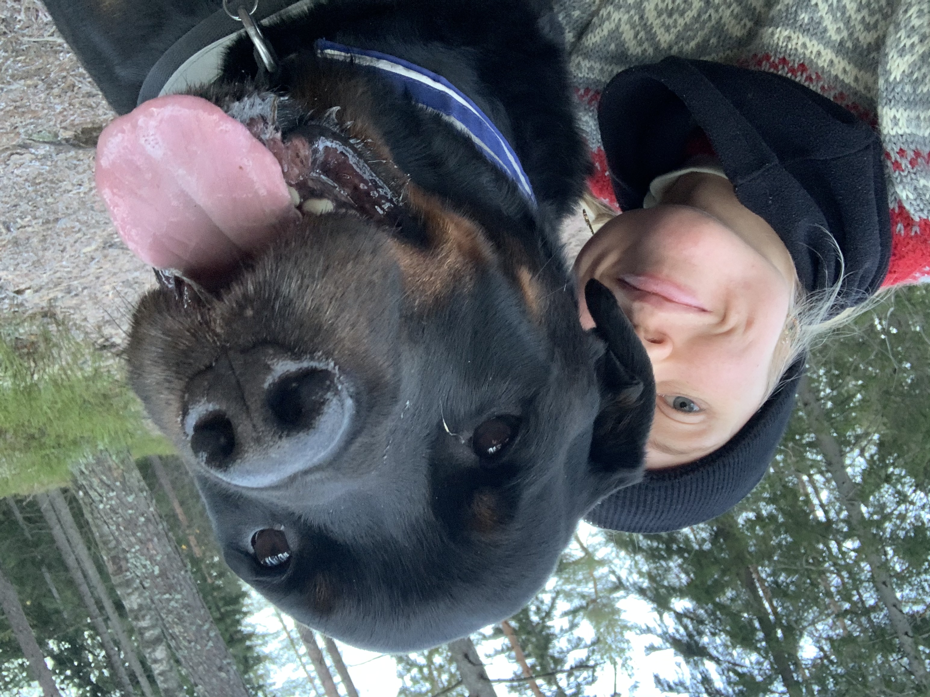 image-6
