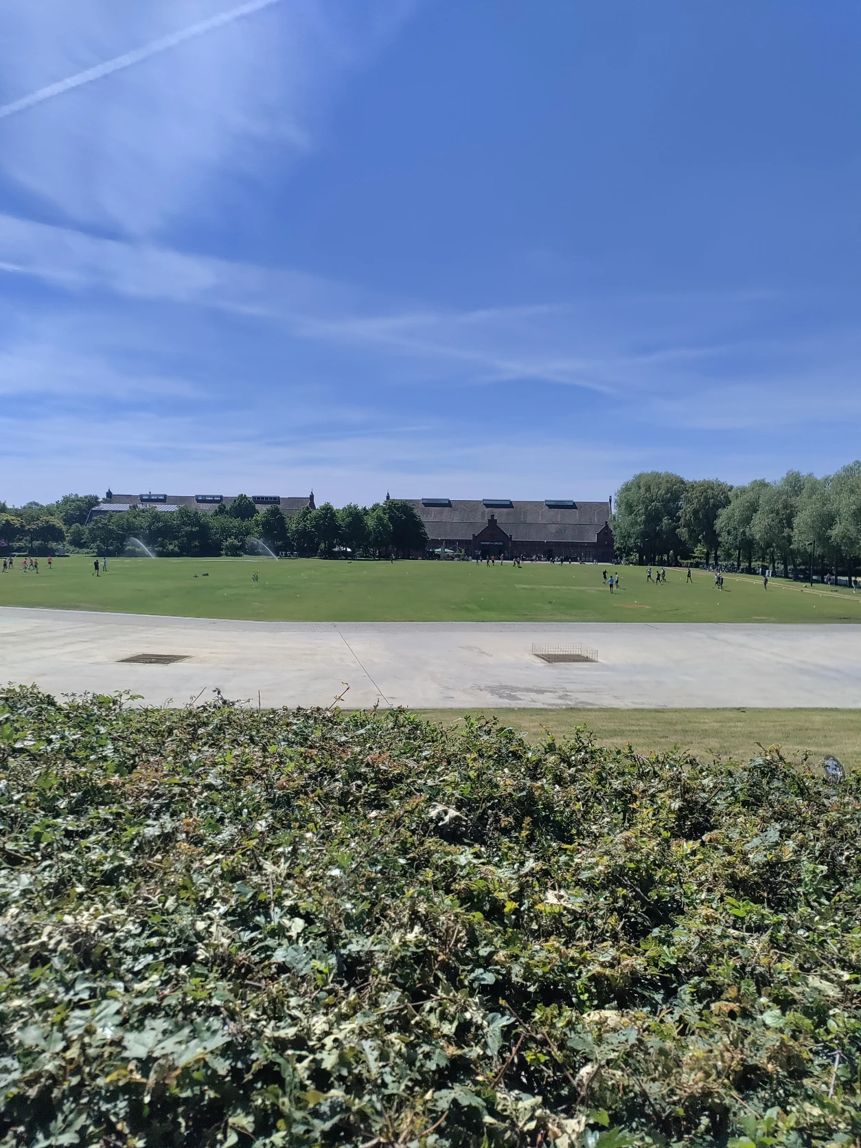 image-5