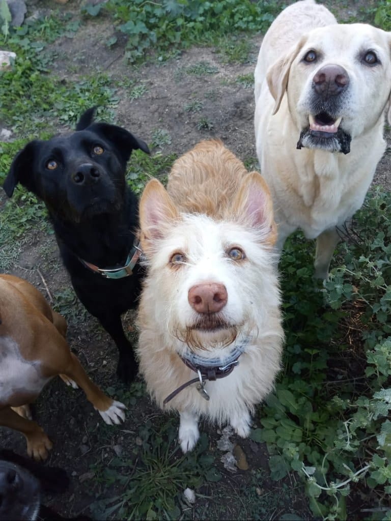 image-25