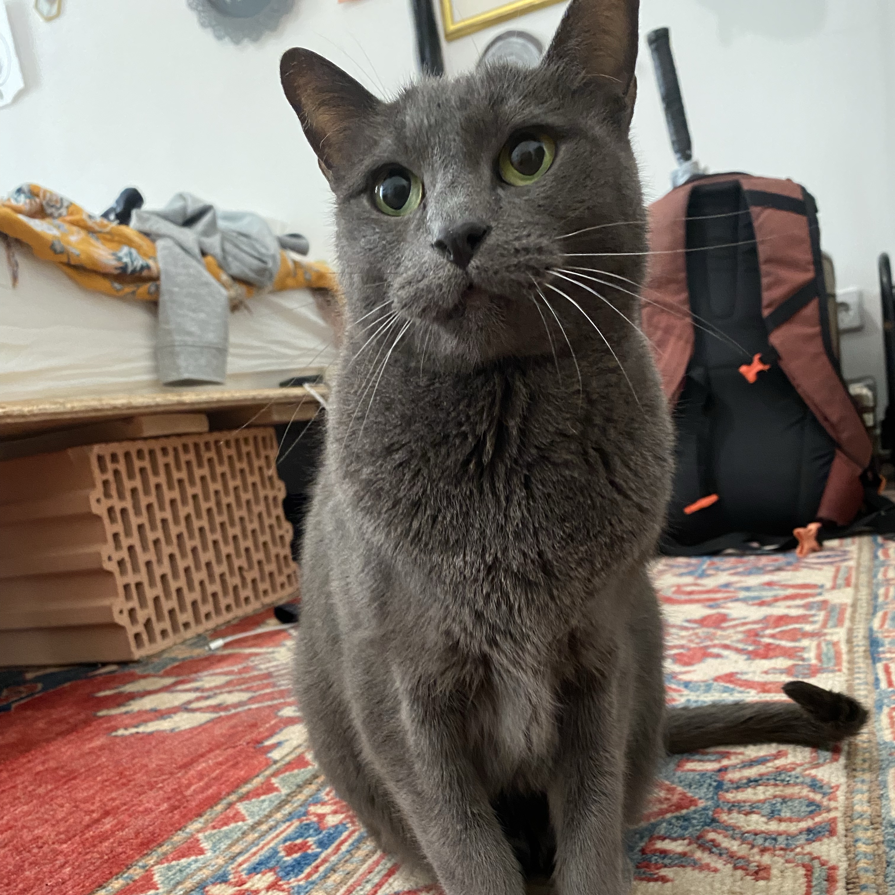 Oskar