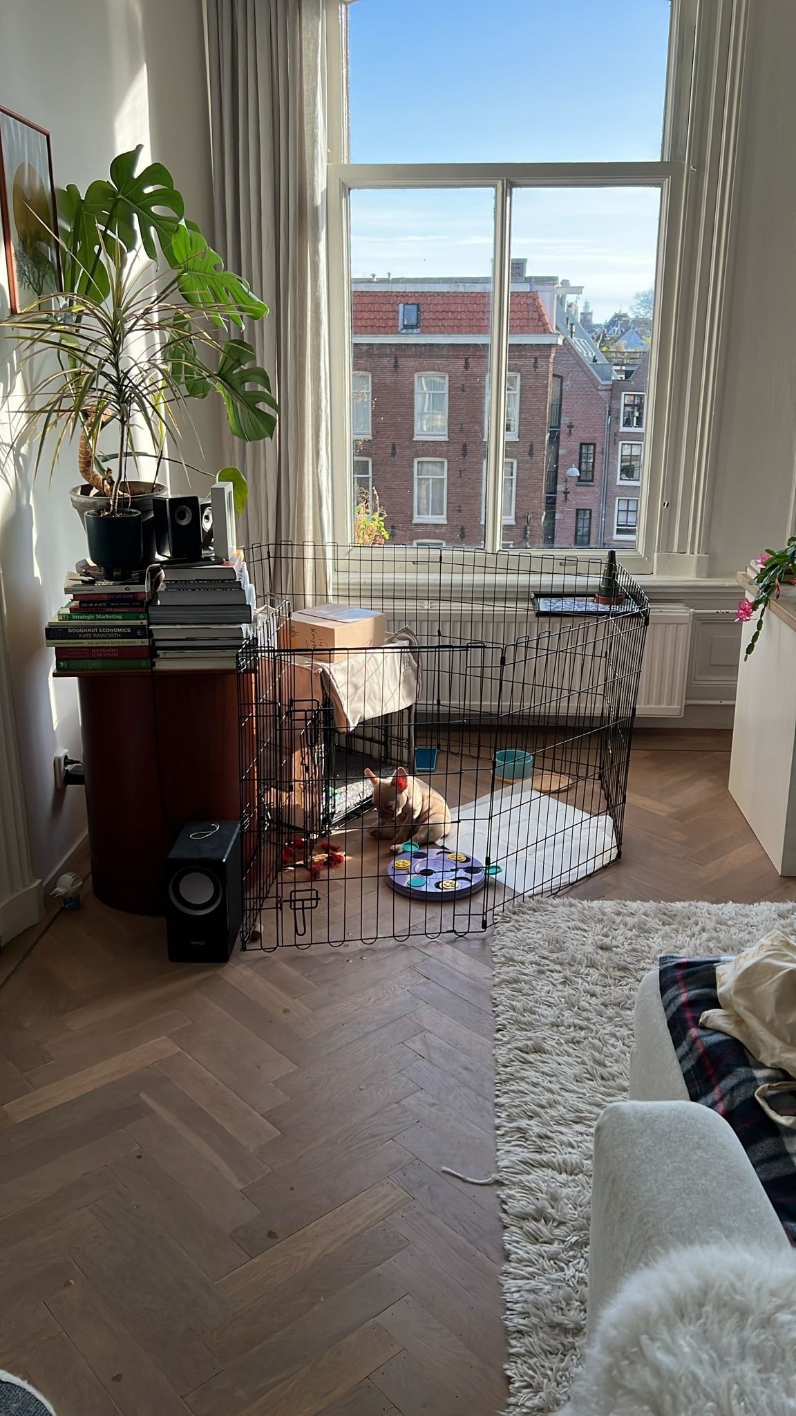 image-4