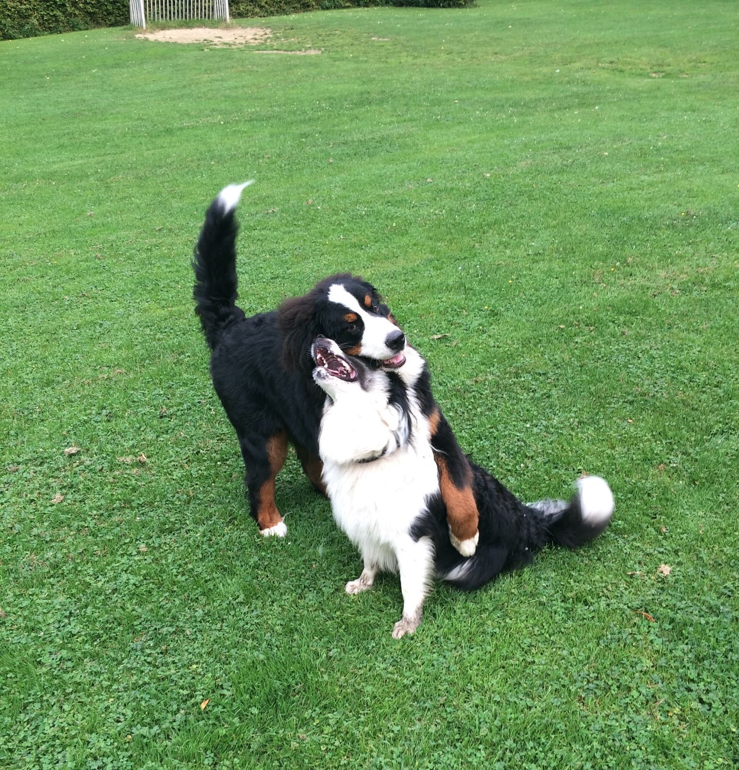 image-2