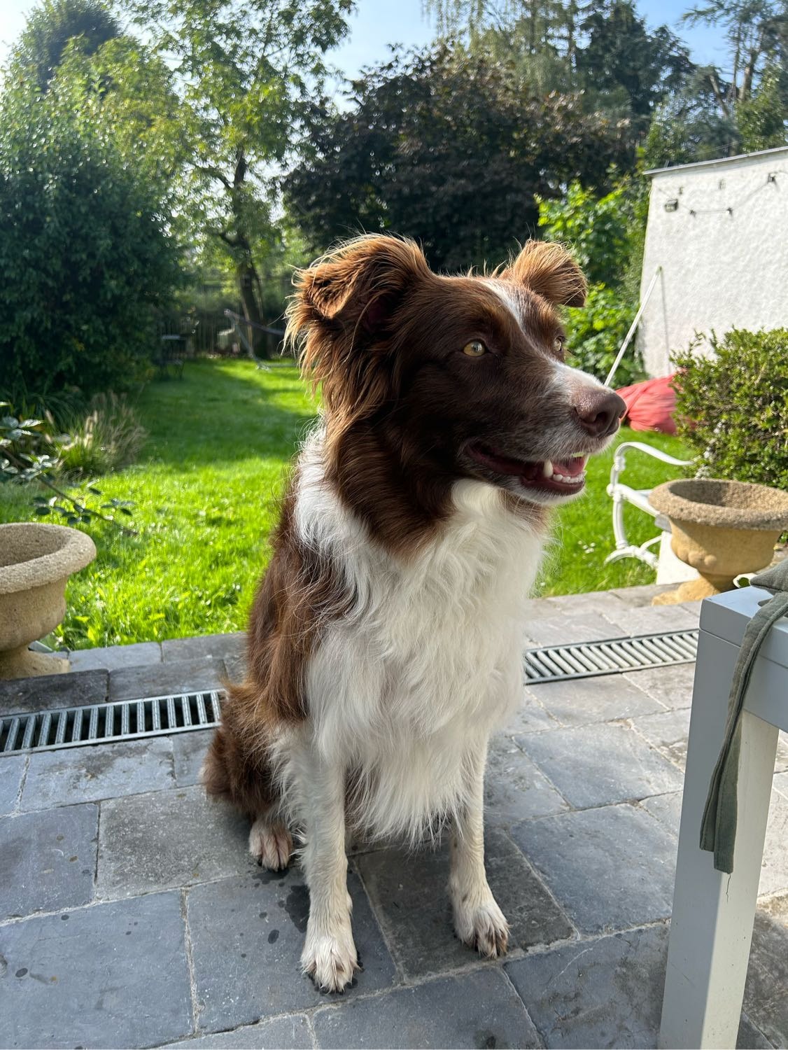 image-17