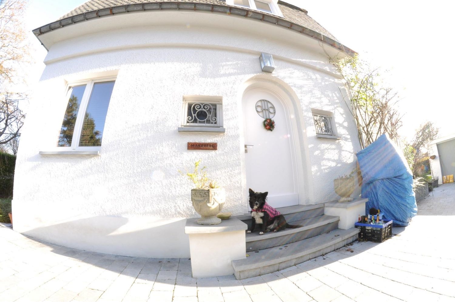 image-15