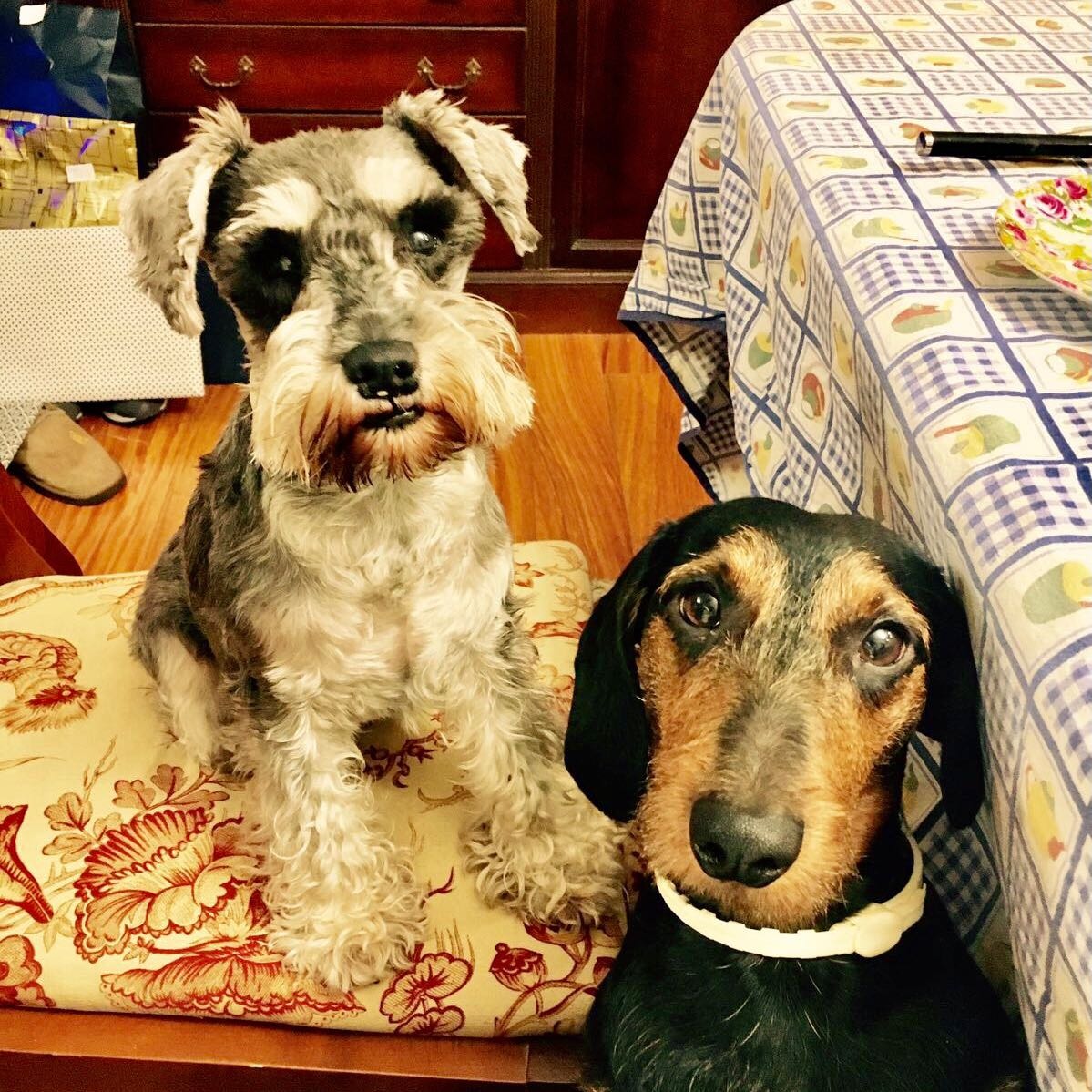 Walter And Lili