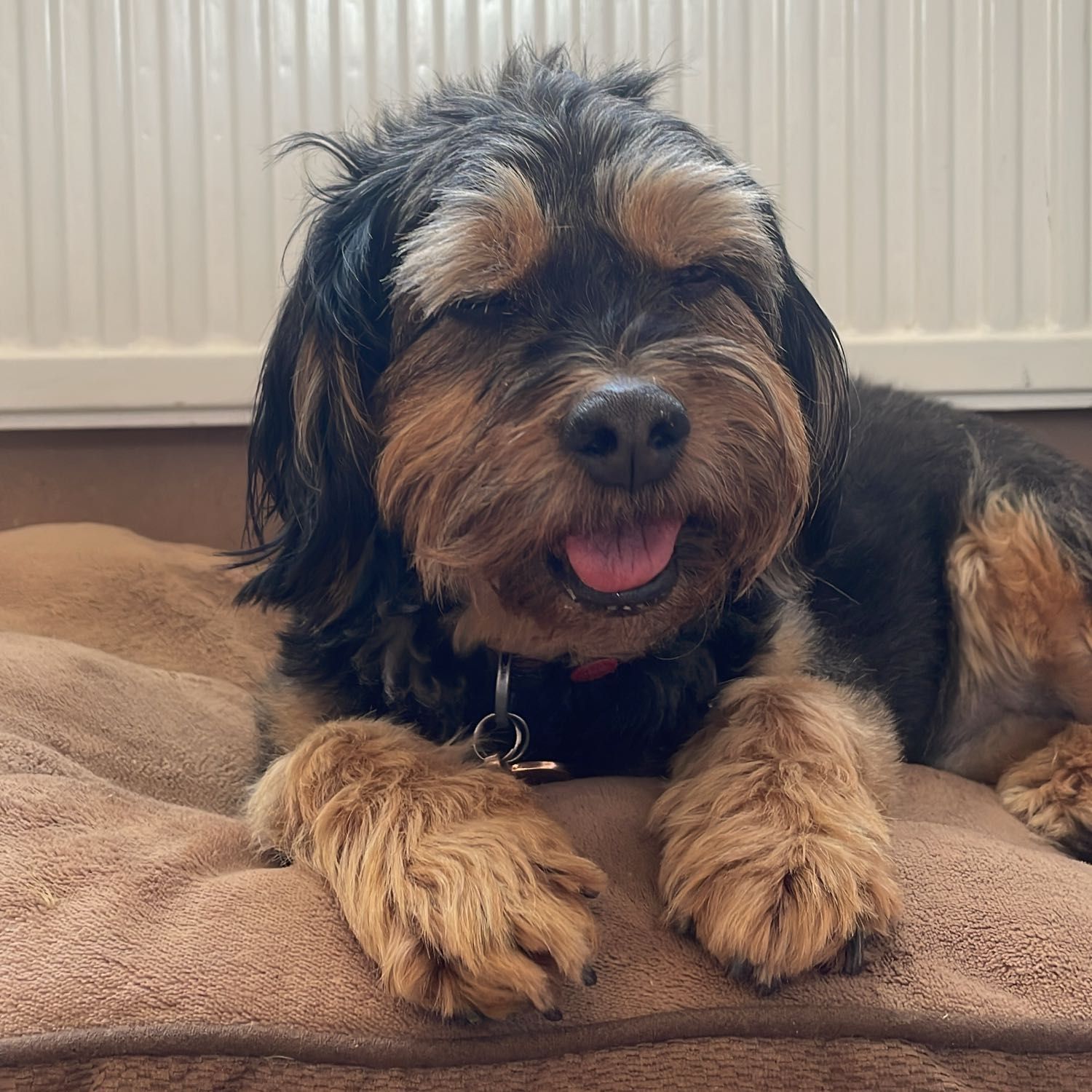 Betty
