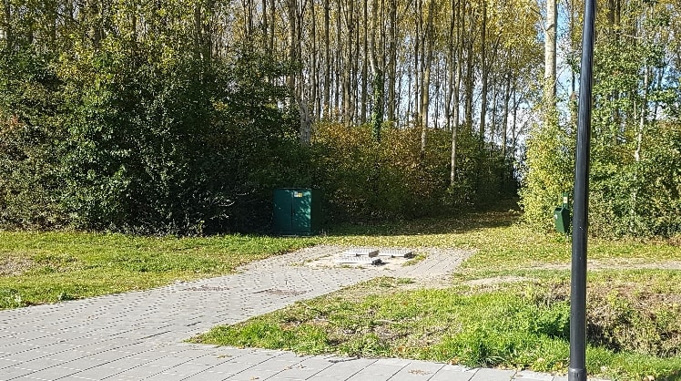 image-4