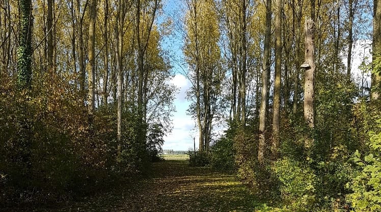 image-5
