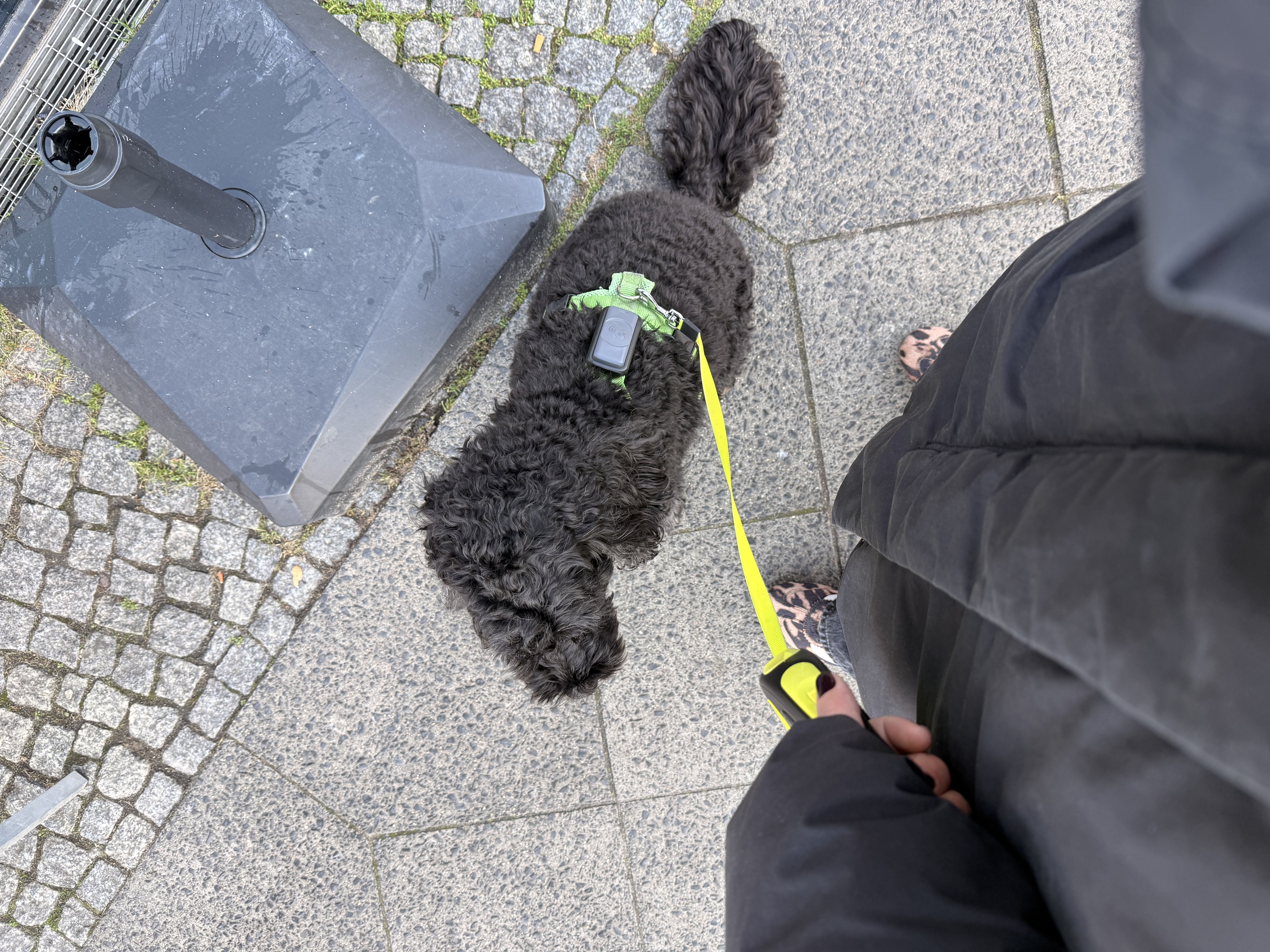 image-3