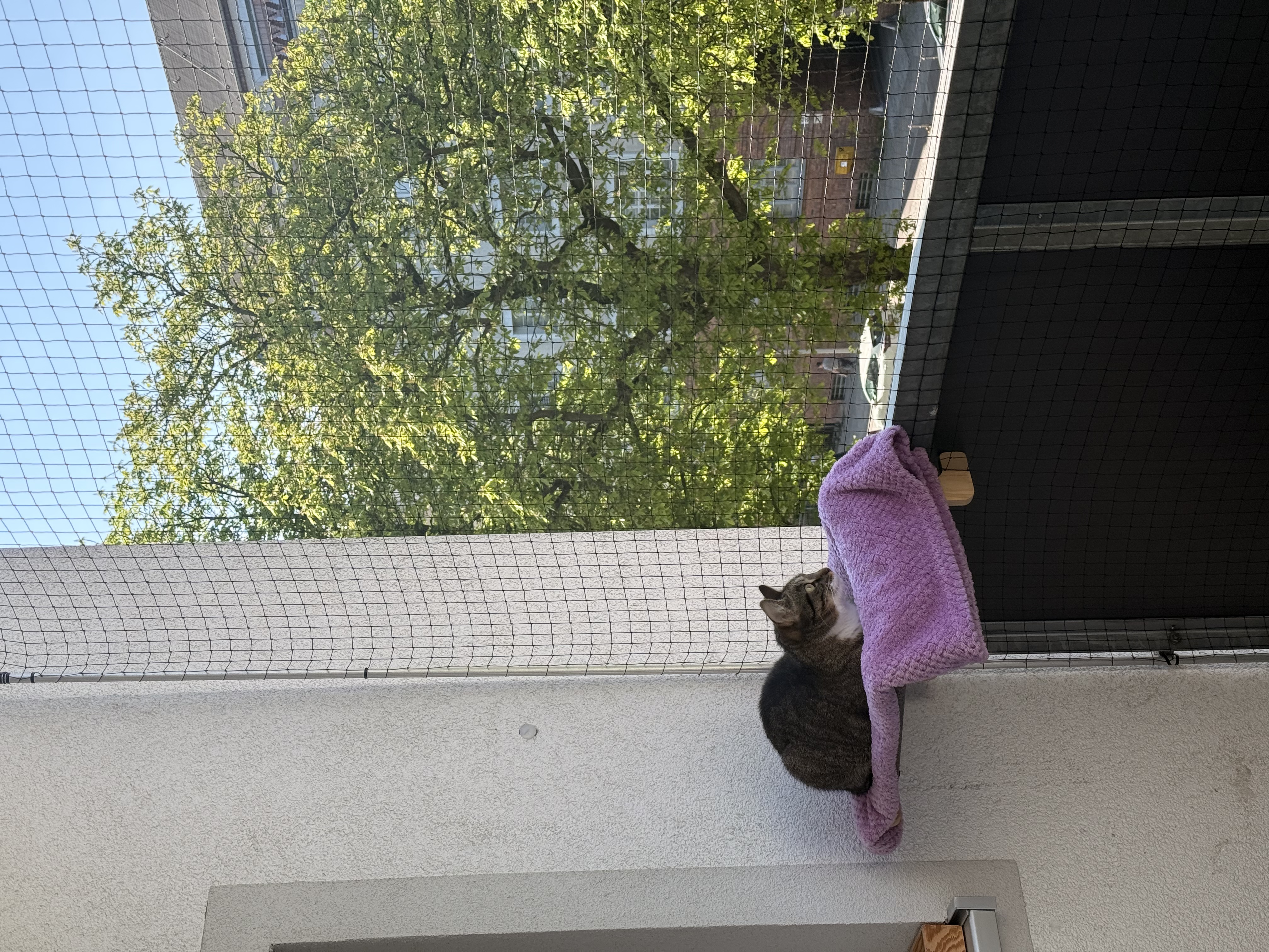 image-8
