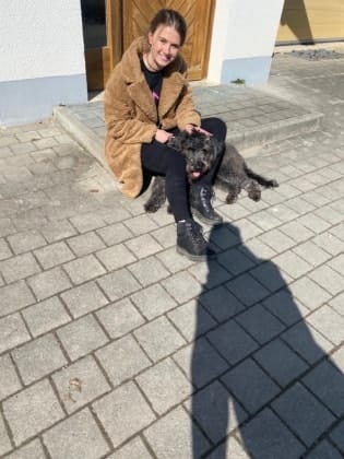 image-9