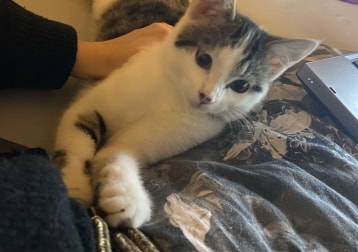 Mia 