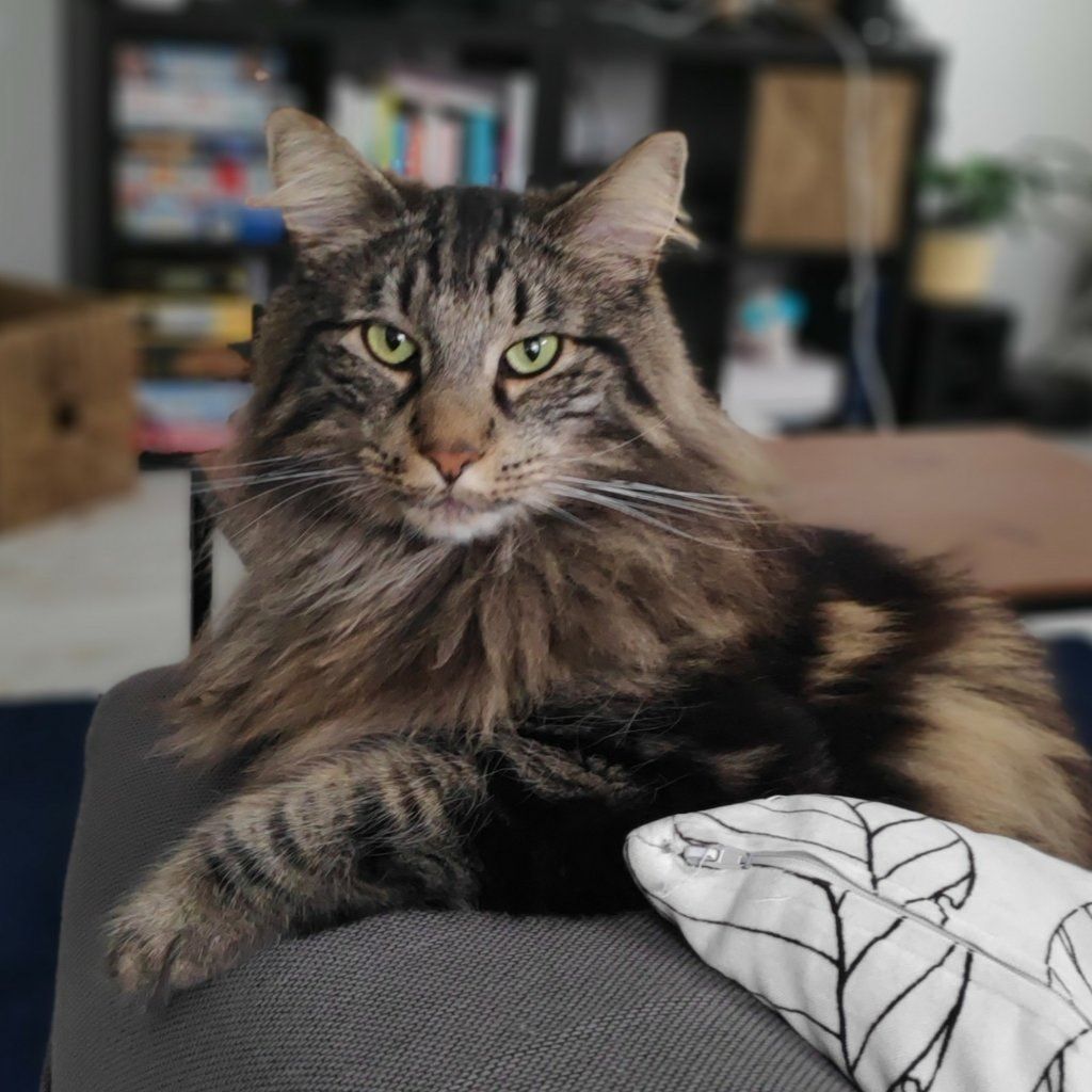 Berlioz