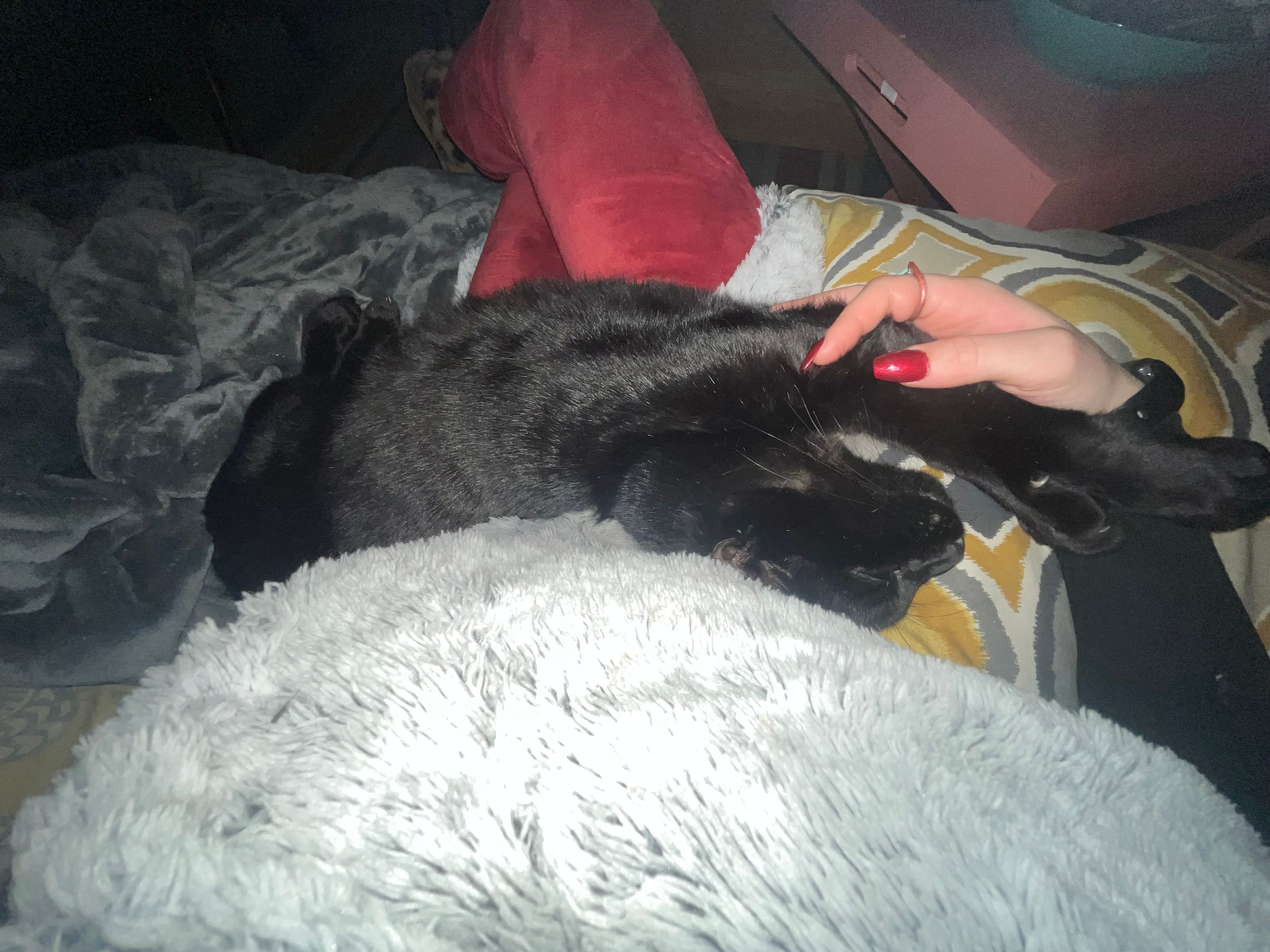 image-6