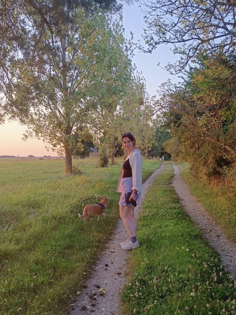 image-3