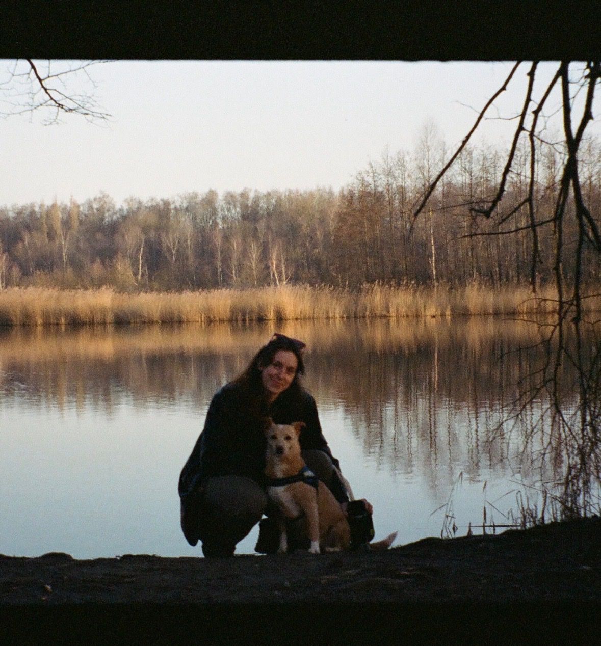 image-7