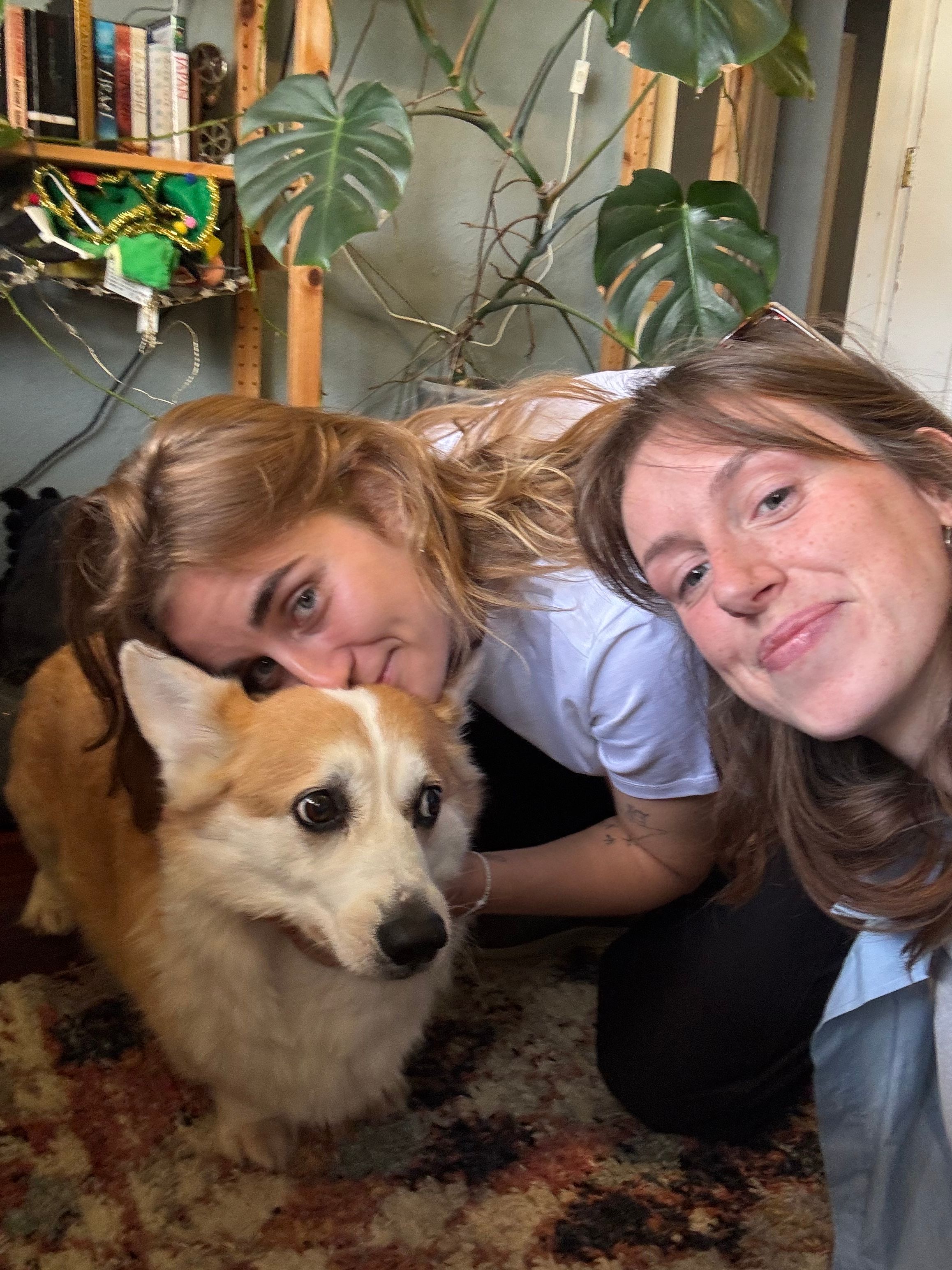 image-6