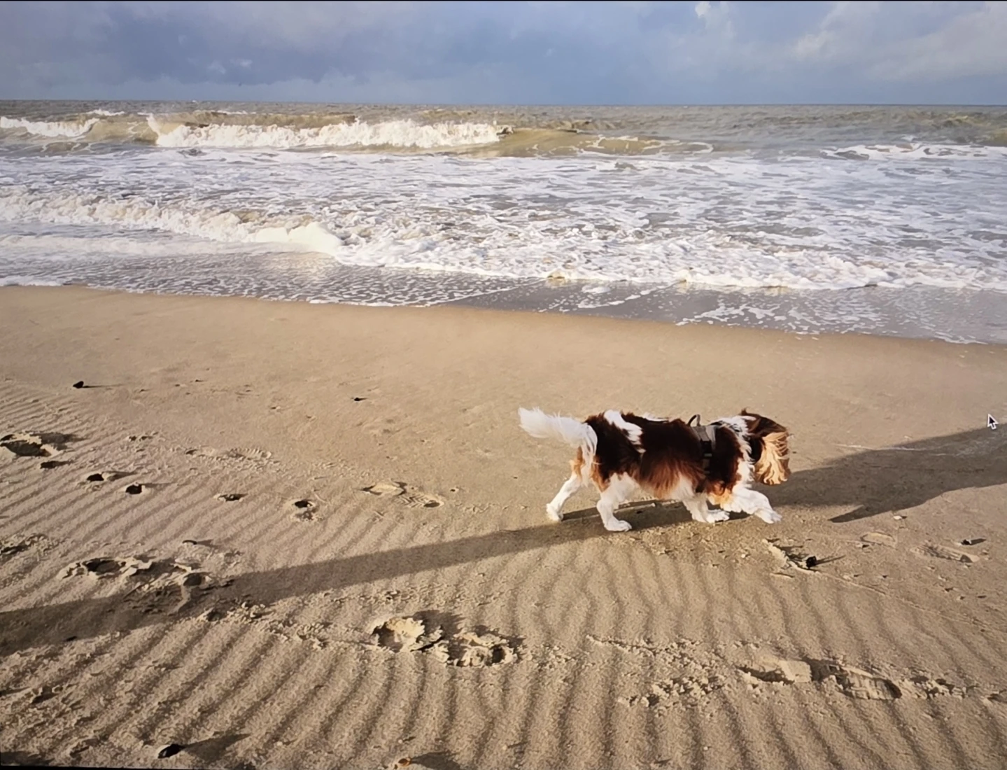 image-8