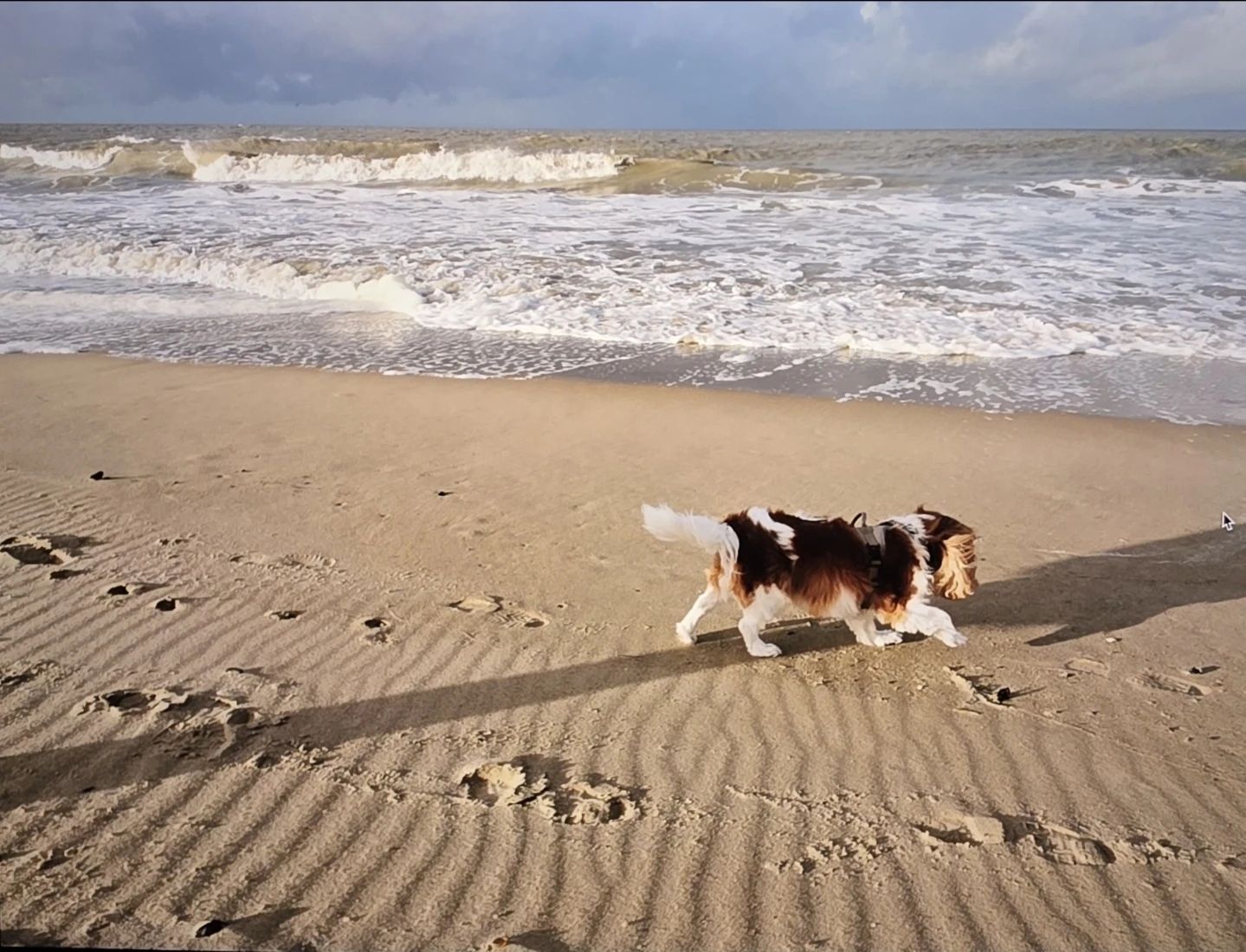 image-8