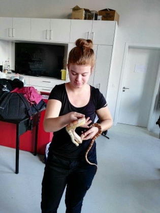 image-8