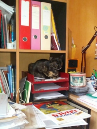 image-8