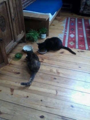 image-5