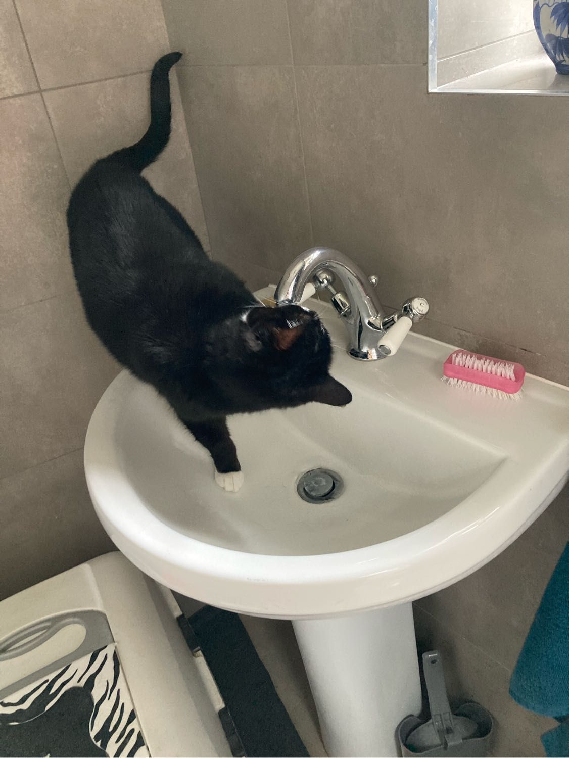 image-14