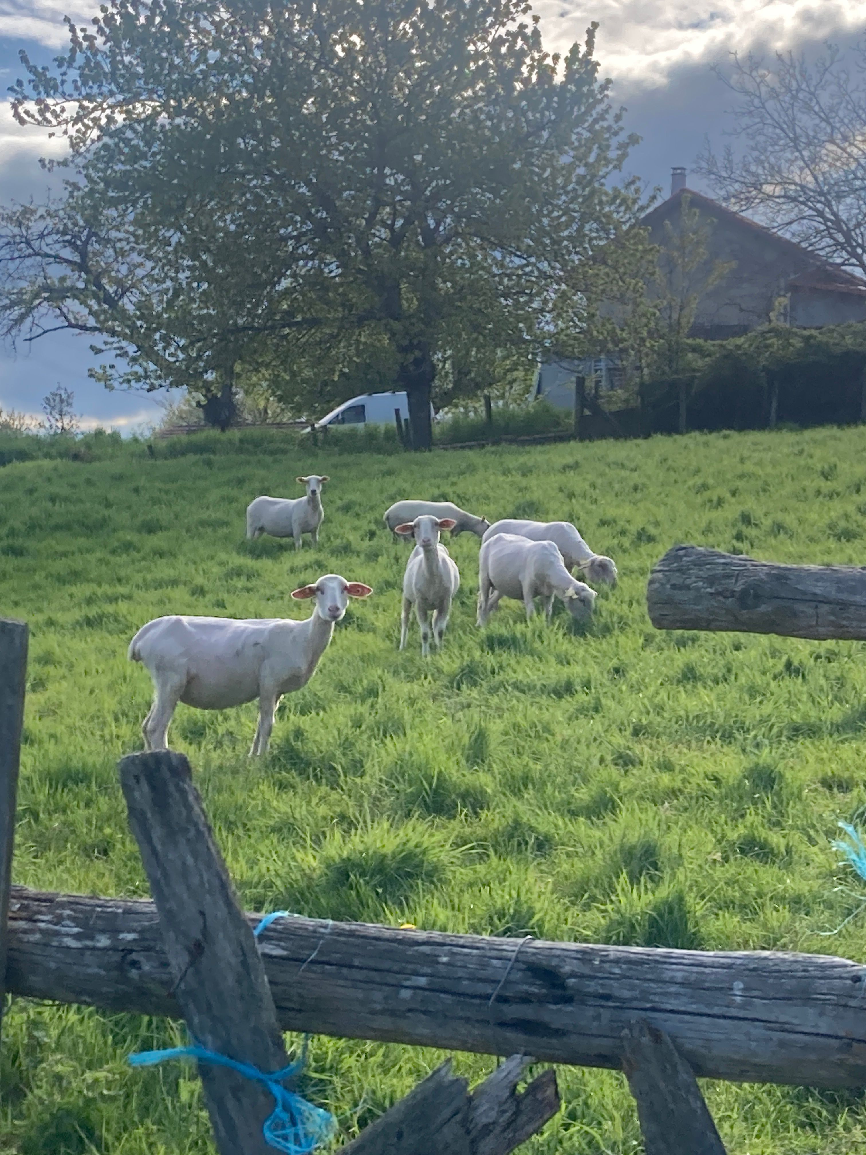 image-22