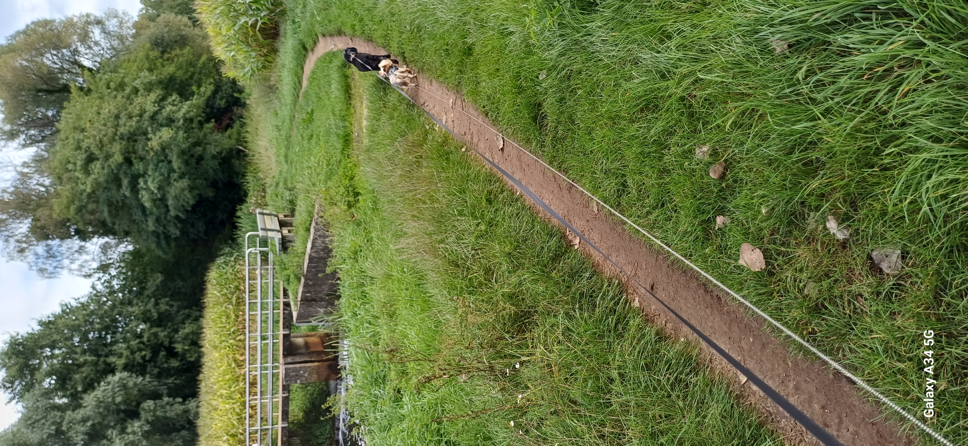image-8