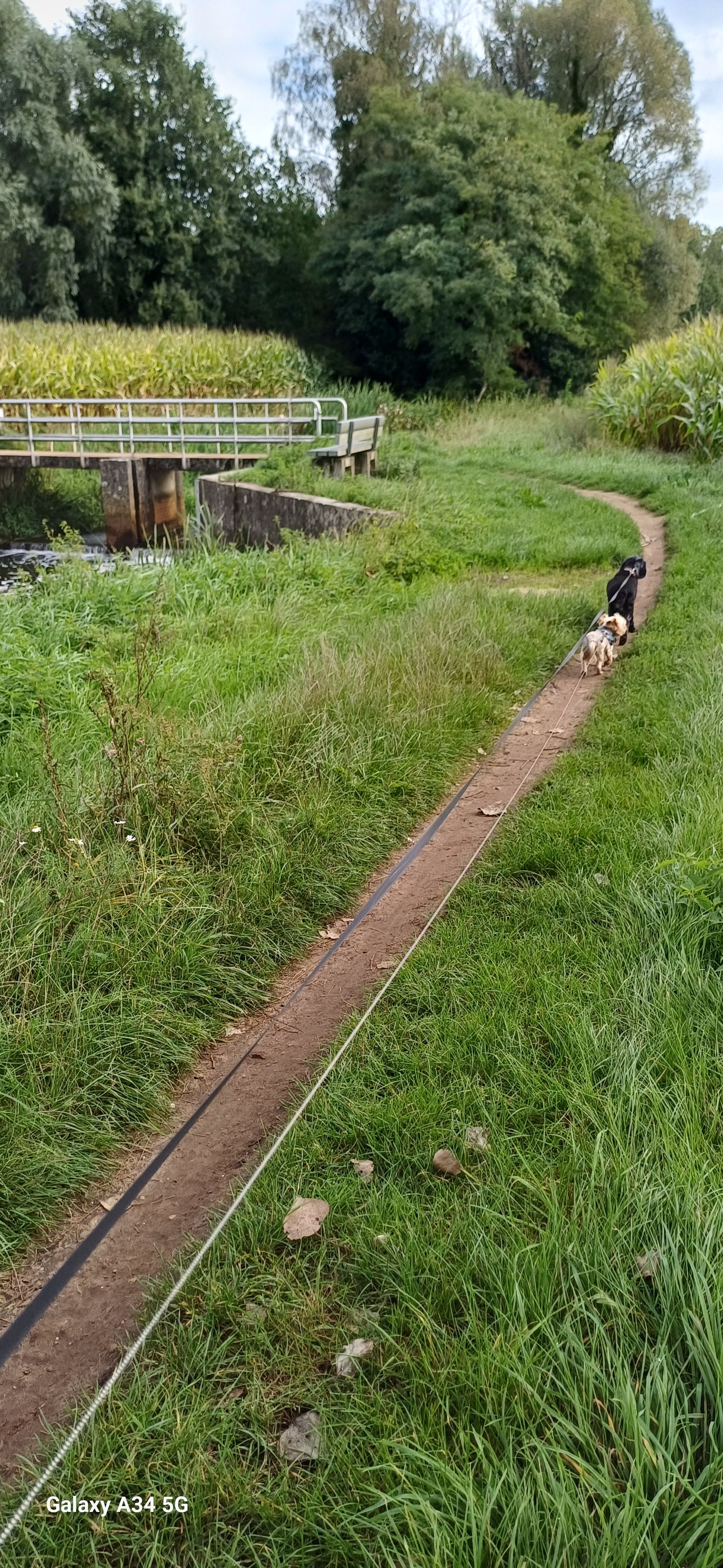 image-8